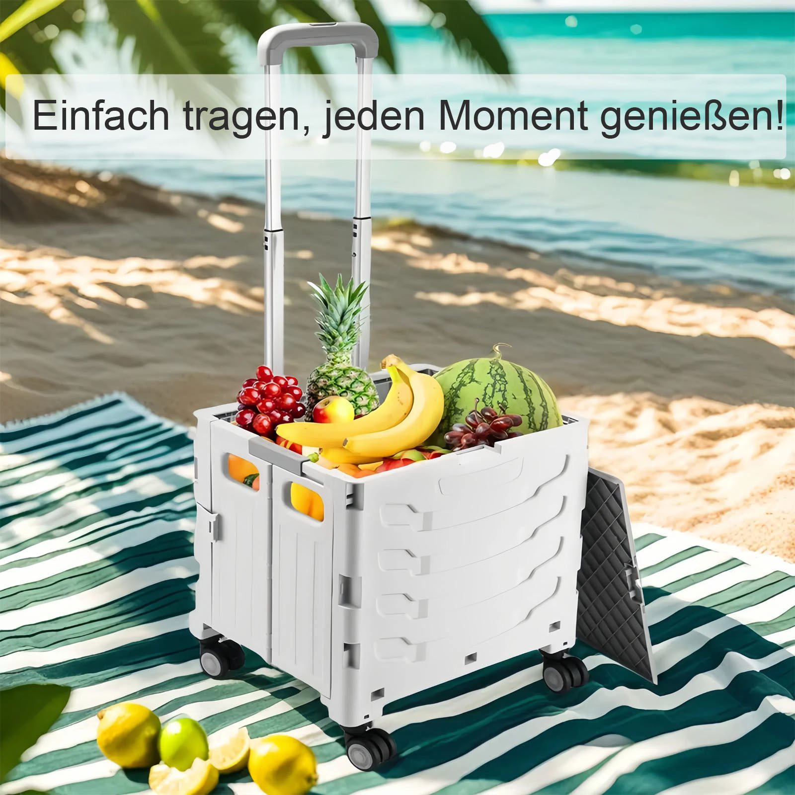 LEAZZLE Einkaufstrolley Einkaufstrolley Grau Faltbarer mit günstig online kaufen