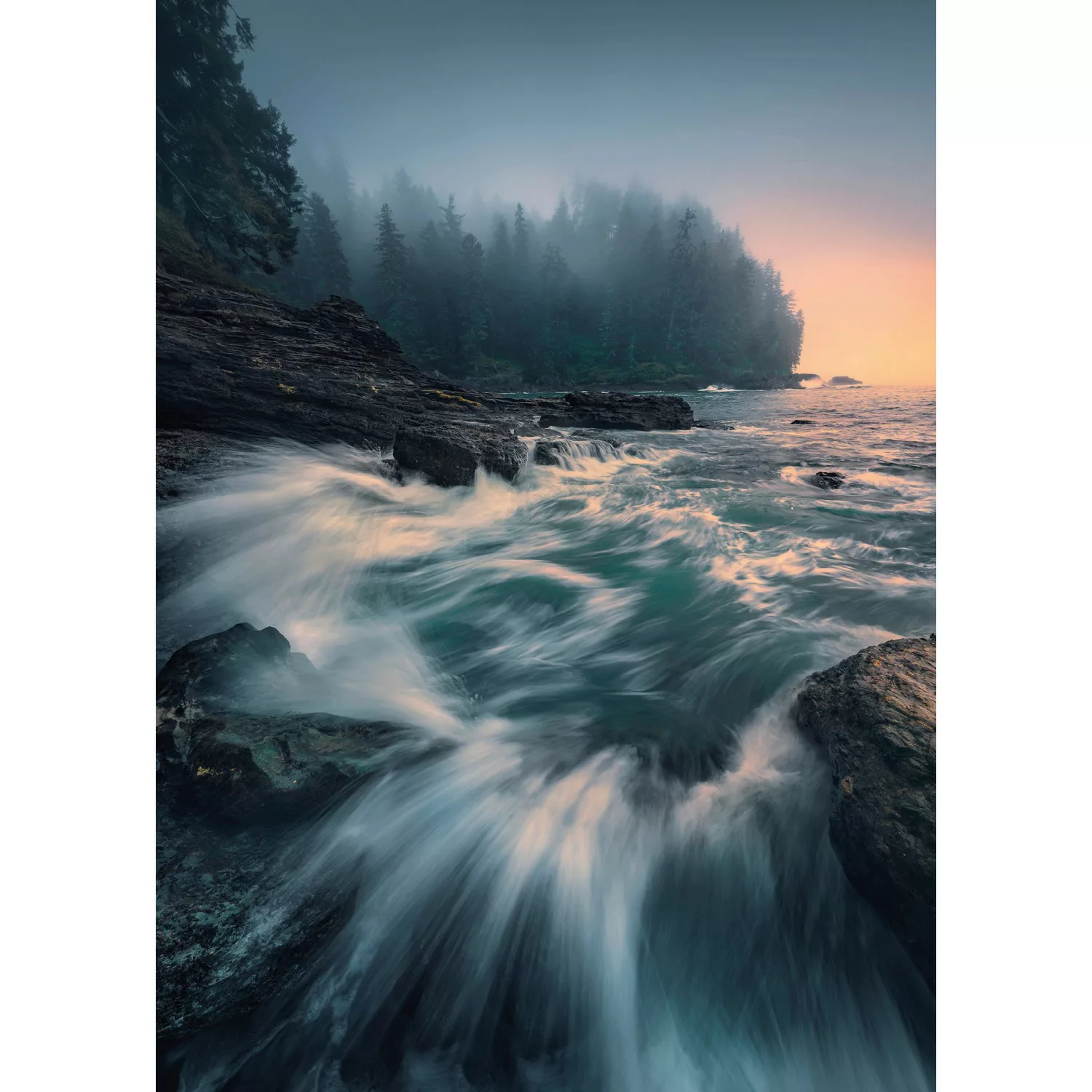 KOMAR Vlies Fototapete - Cry of the Sea - Größe 200 x 280 cm mehrfarbig günstig online kaufen