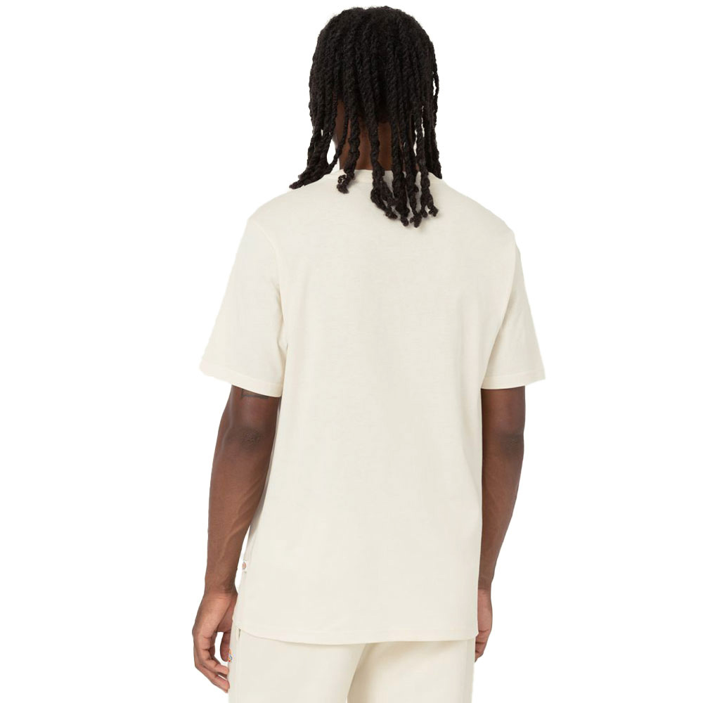Dickies Mapleton Tee Whitecap Gray günstig online kaufen