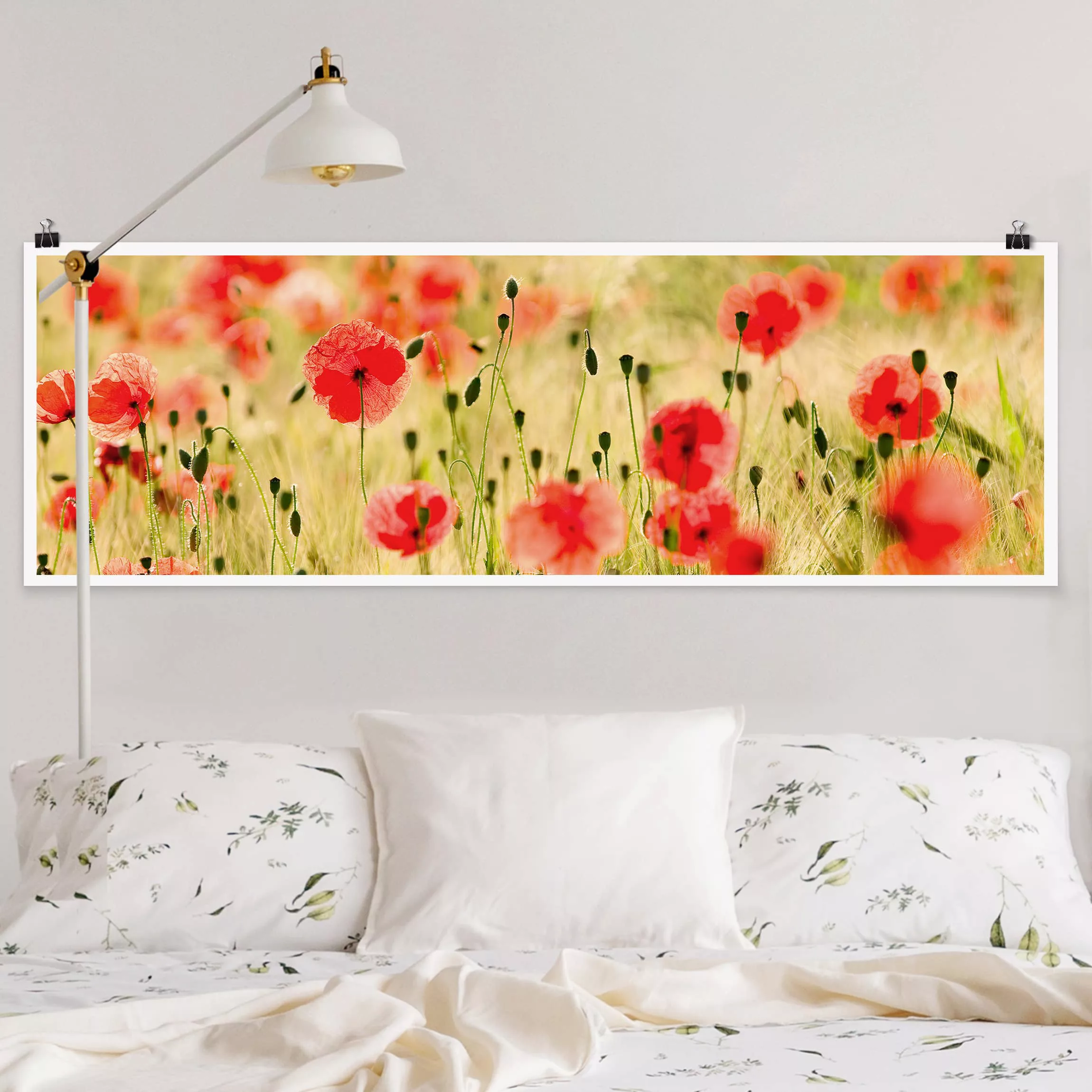 Panorama Poster Blumen Summer Poppies günstig online kaufen