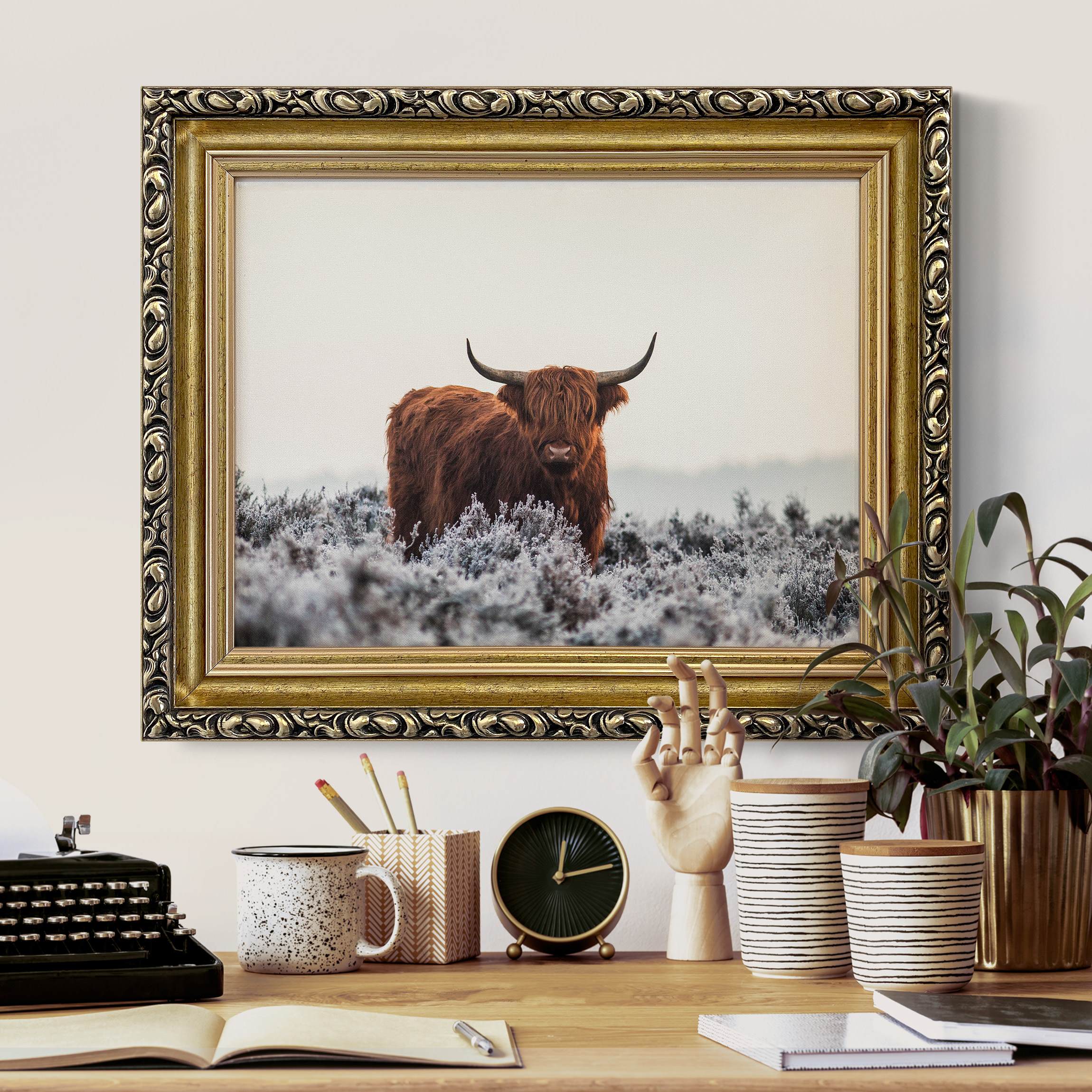 Gerahmtes Leinwandbild Bison in den Highlands günstig online kaufen