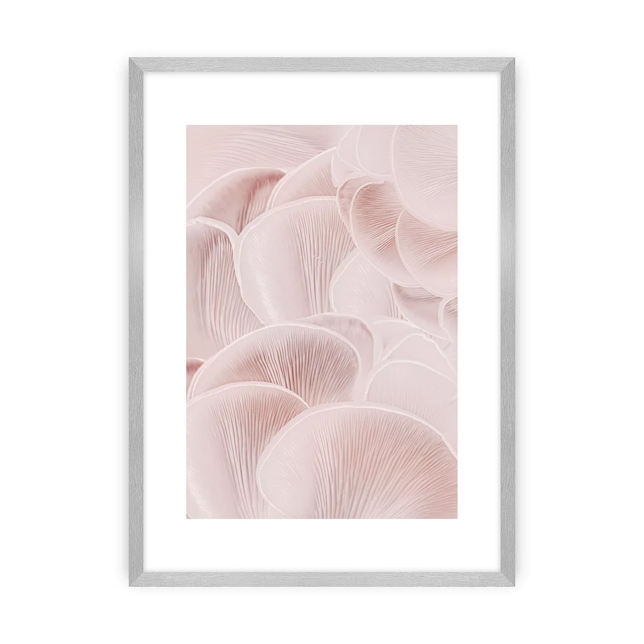 Poster Pastel Pink I, 50 x 70 cm , Ramka: Srebrna günstig online kaufen