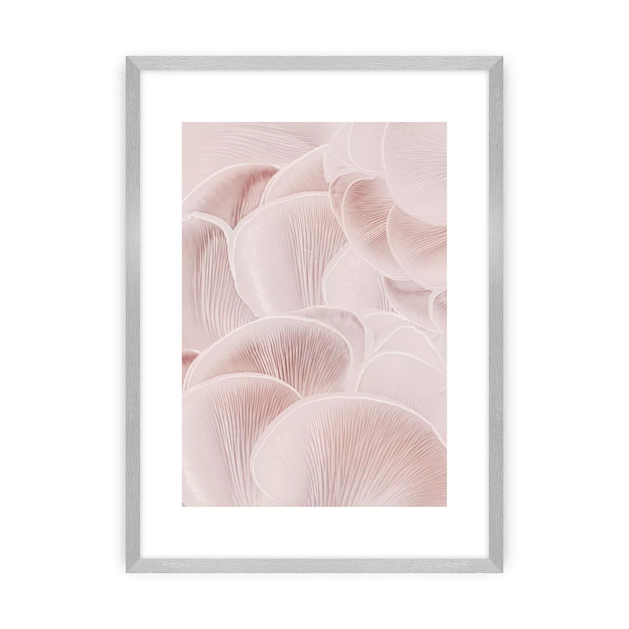 Poster Pastel Pink I, 40 x 50 cm , Ramka: Srebrna günstig online kaufen