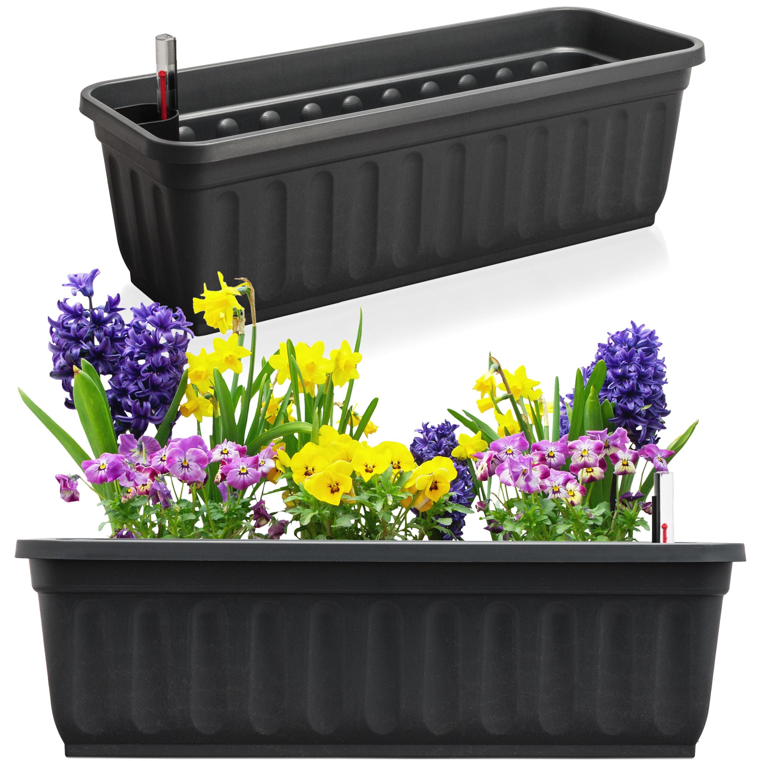 Hausfelder Blumenkasten Balkonkasten mit Wasserstandsanzeiger, Pflanzkasten günstig online kaufen