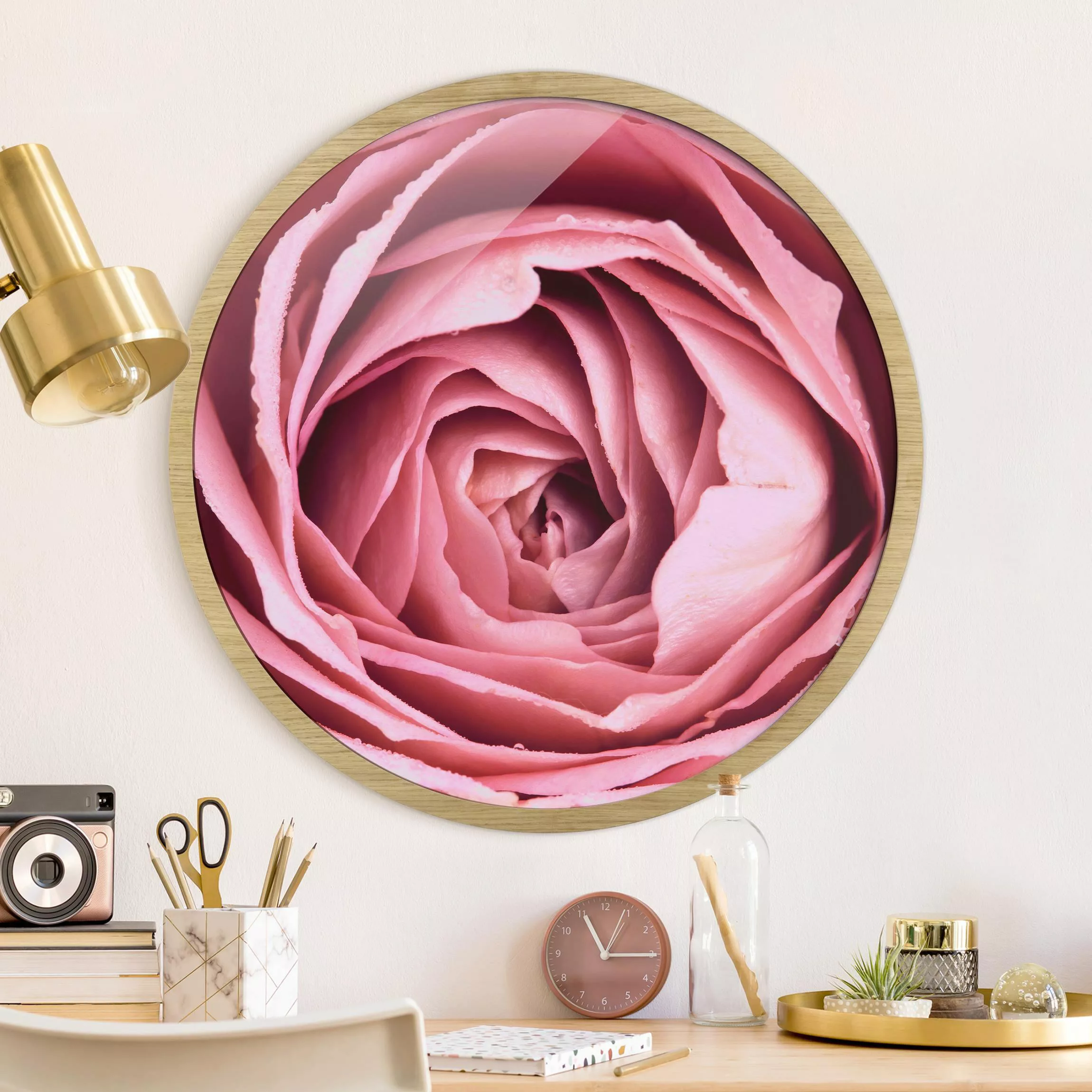 Rundes Gerahmtes Bild Rosa Rosenblüte günstig online kaufen
