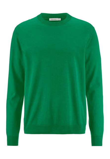 Hessnatur Strickpullover Regular aus reiner Bio-Merinowolle (1-tlg) günstig online kaufen