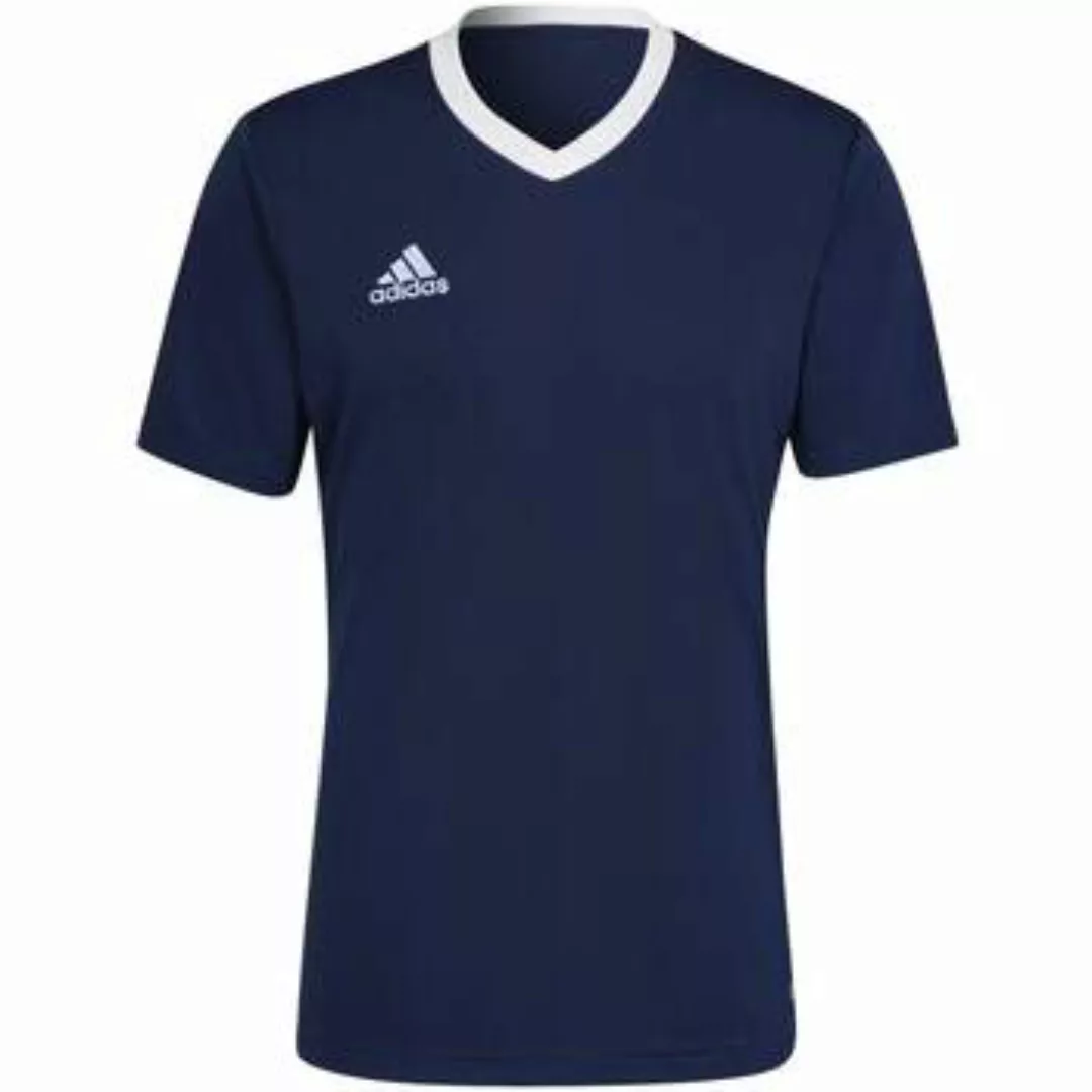 adidas  T-Shirts & Poloshirts - günstig online kaufen