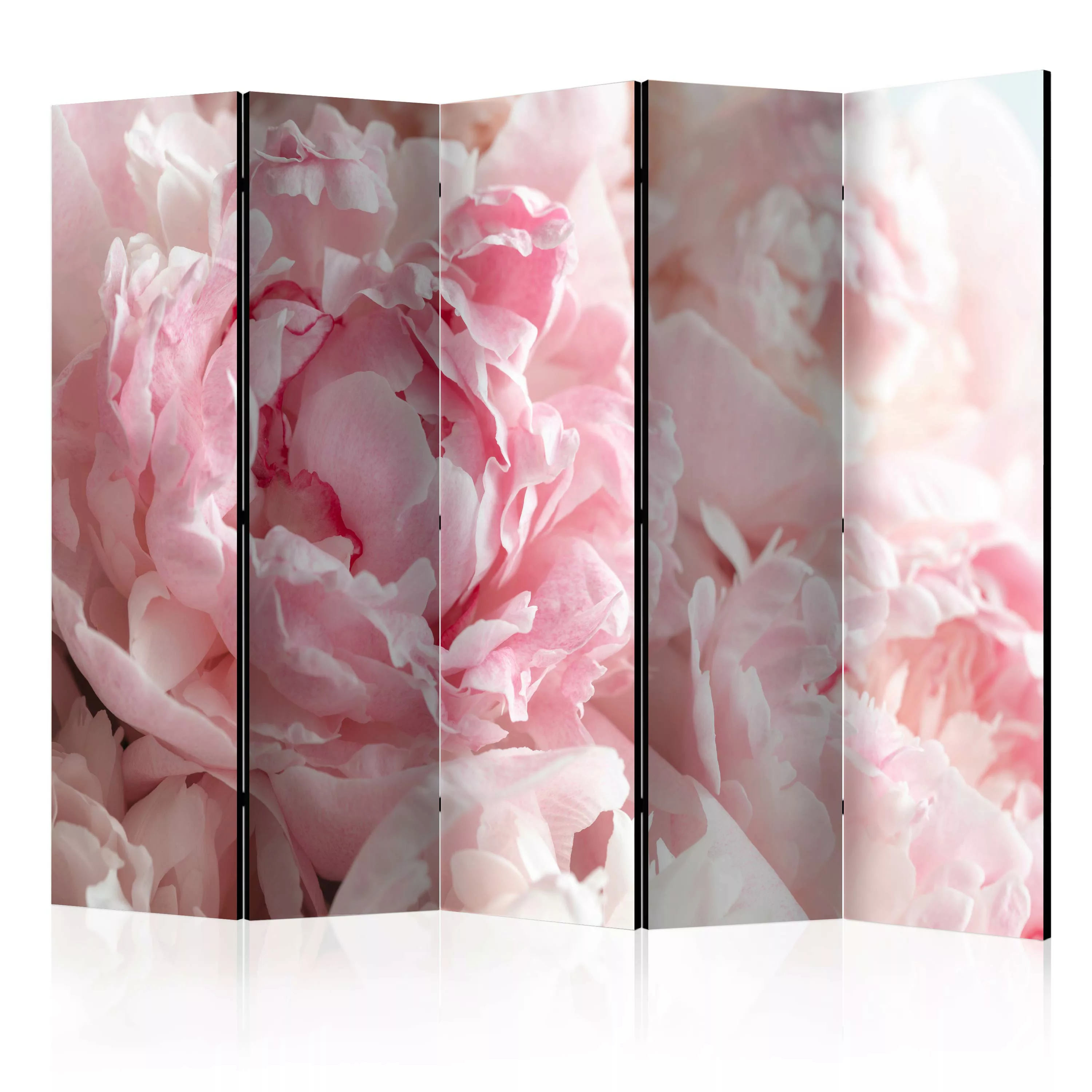 5-teiliges Paravent - Sweet Peonies Ii [room Dividers] günstig online kaufen