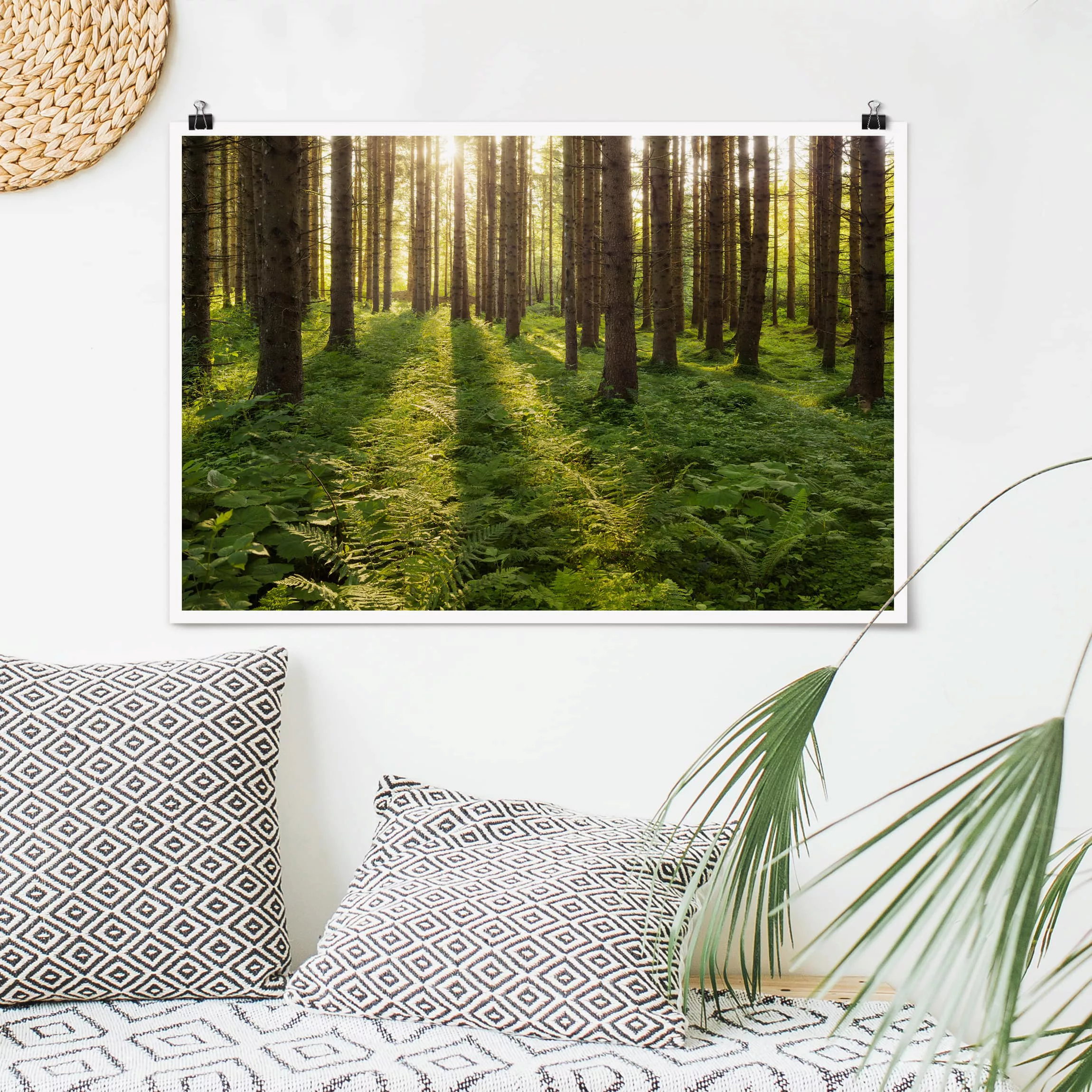 Poster Natur & Landschaft - Querformat Sonnenstrahlen in grünem Wald günstig online kaufen