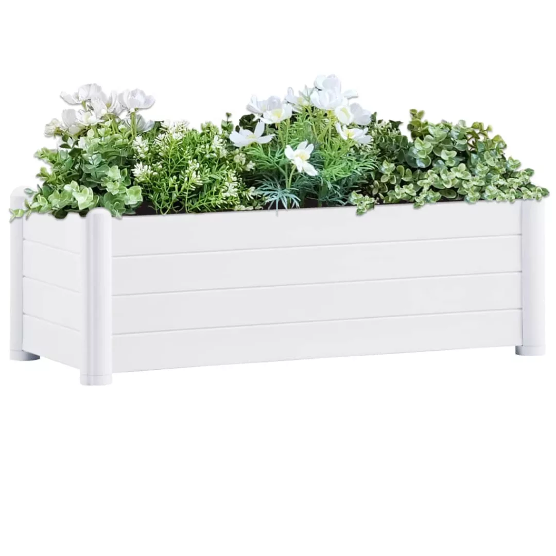 Garten-hochbeet Pp Weiß 100x43x35 Cm günstig online kaufen