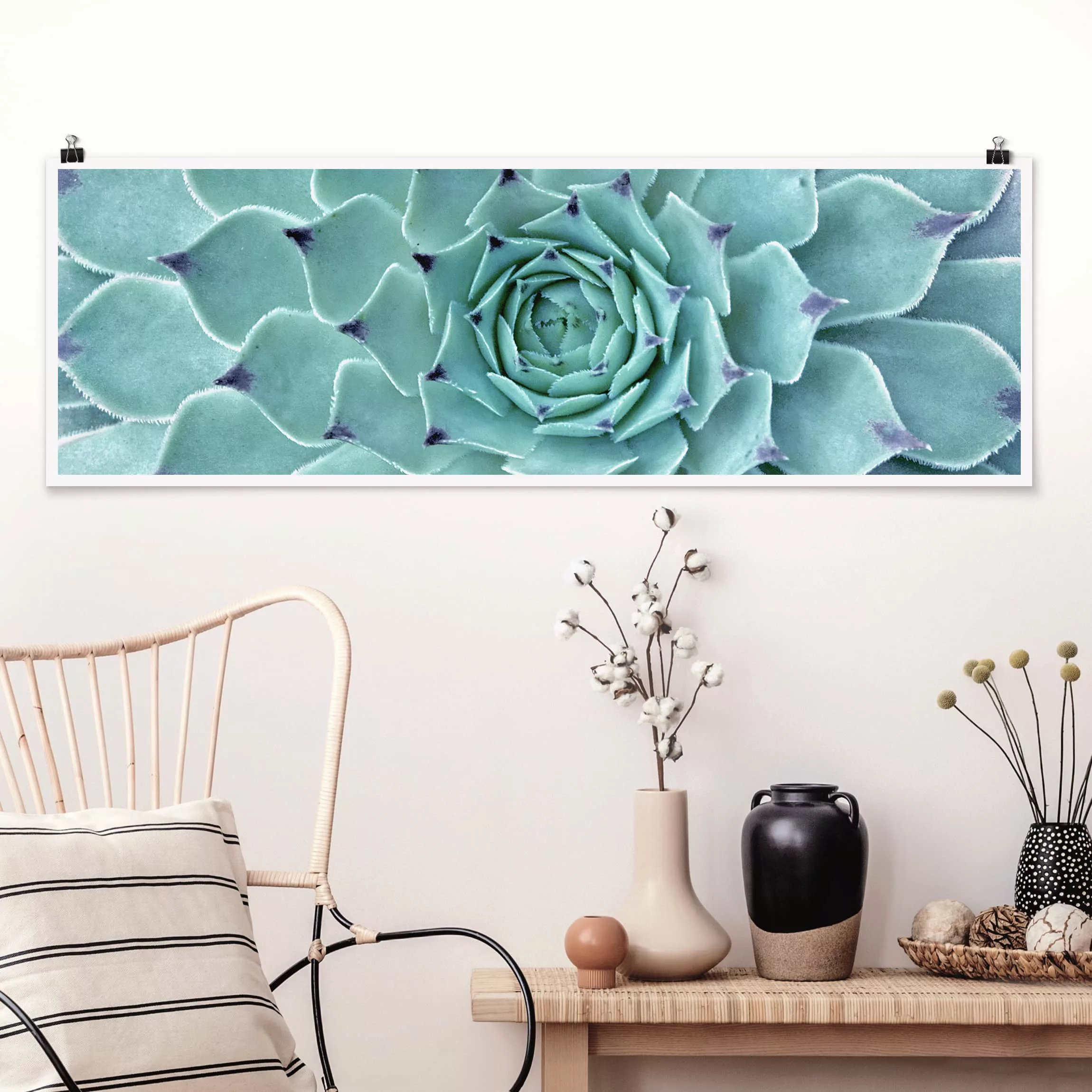 Panorama Poster Blumen Kaktus Agave günstig online kaufen