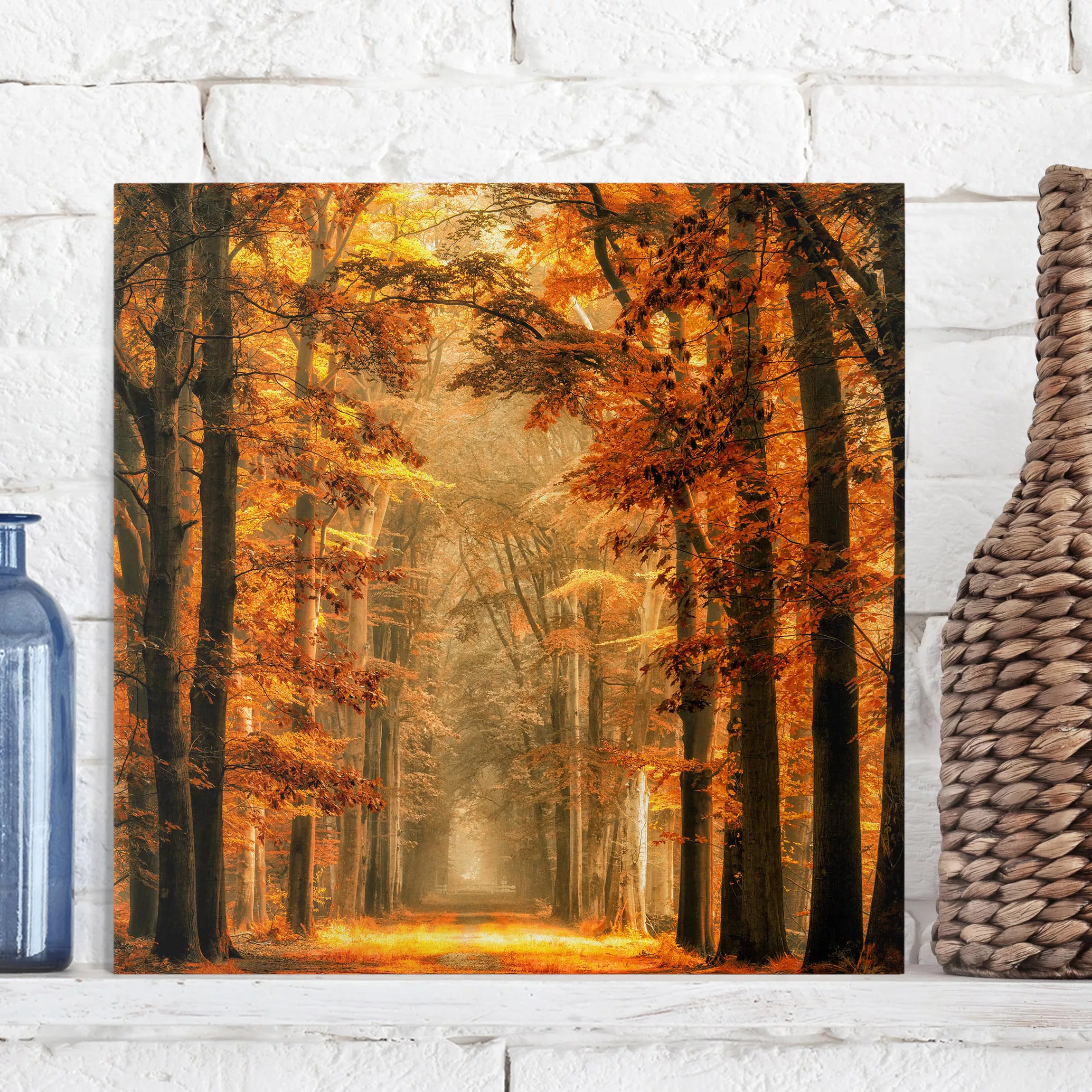 Leinwandbild Wald - Quadrat Märchenwald im Herbst günstig online kaufen