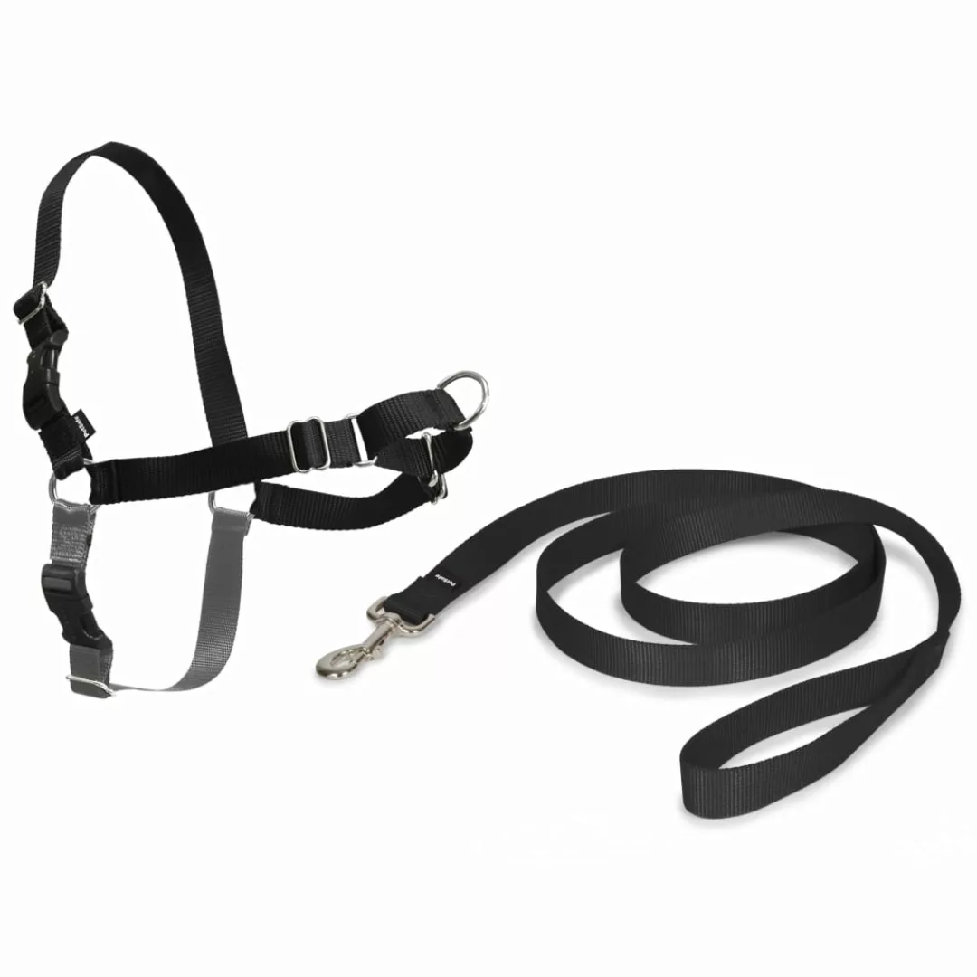 Petsafe Hundegeschirr Easy Walk S Schwarz günstig online kaufen