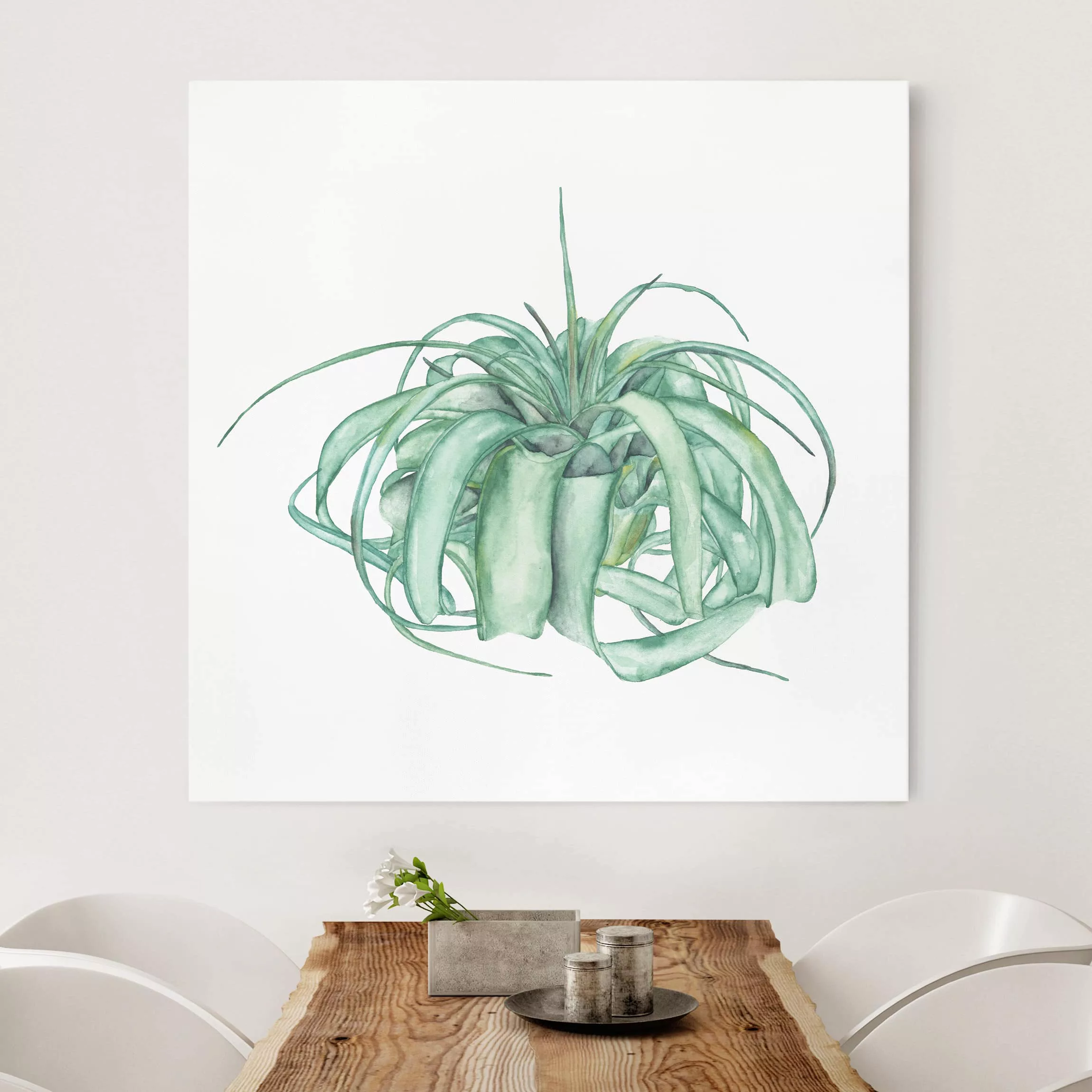 Leinwandbild Botanik - Quadrat Luftpflanze Aquarell IV günstig online kaufen
