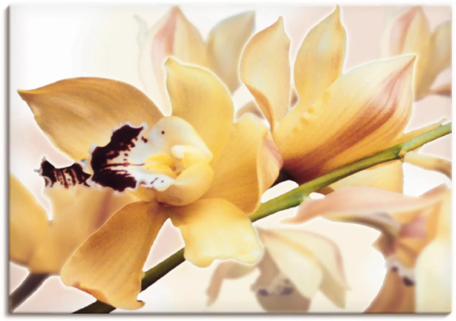 Artland Wandbild "Gelbe Orchidee", Blumenbilder, (1 St.) günstig online kaufen