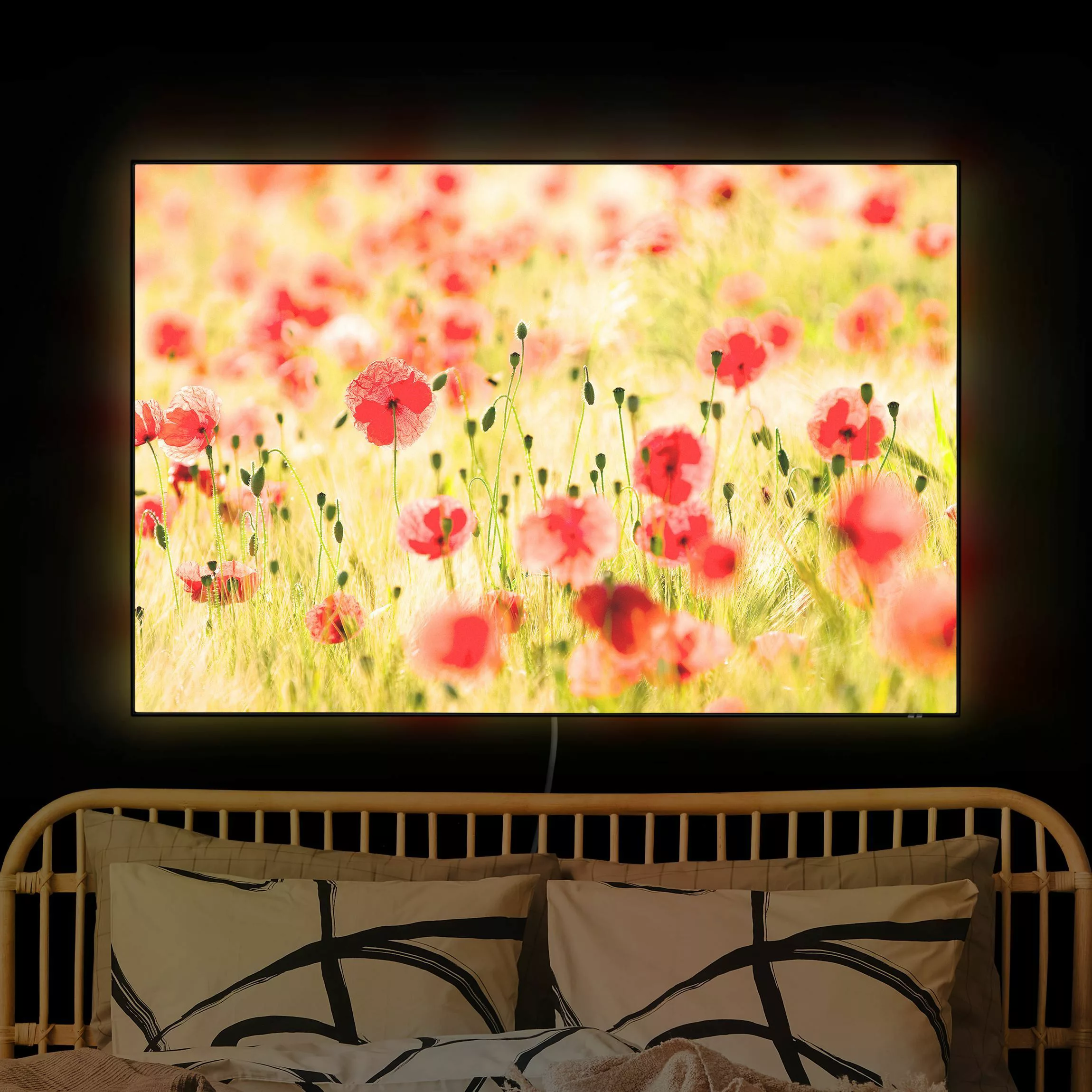 LED-Wechselbild Summer Poppies günstig online kaufen