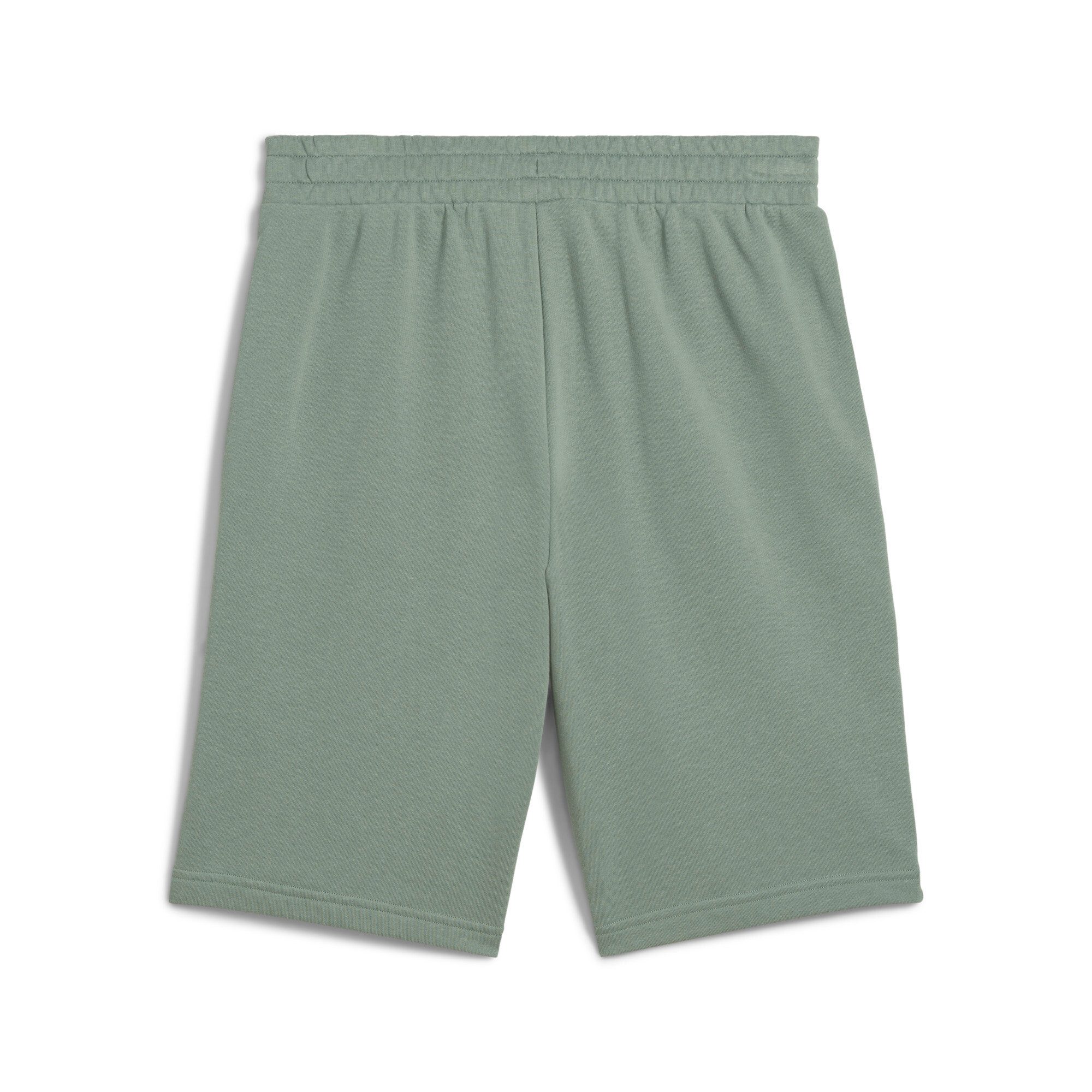 PUMA Trainingsshorts "ESS 2 COLOR NO. 1 LOGO SHORTS 10" TR" günstig online kaufen