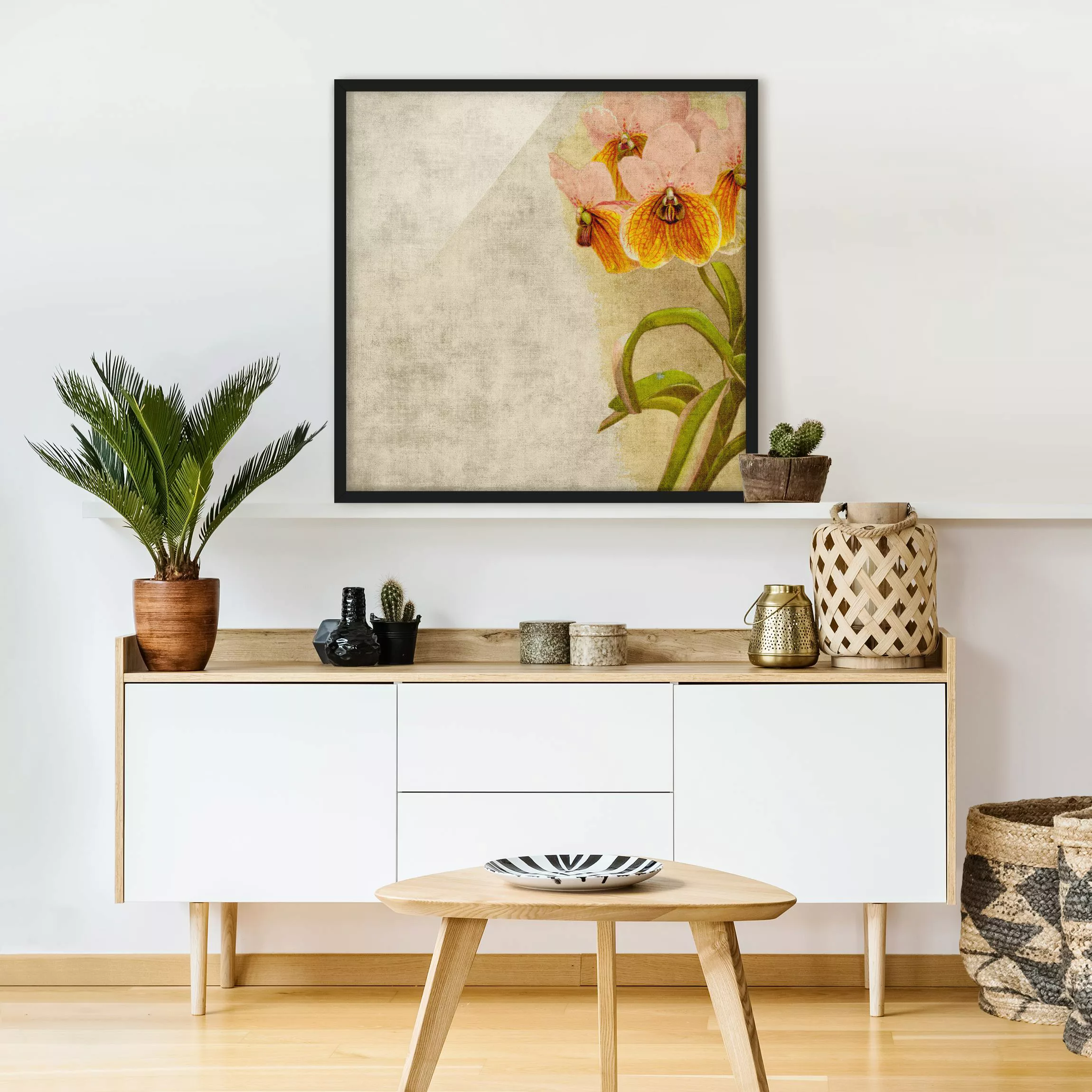 Bild mit Rahmen Blumen - Quadrat Forgotten Beauties III günstig online kaufen