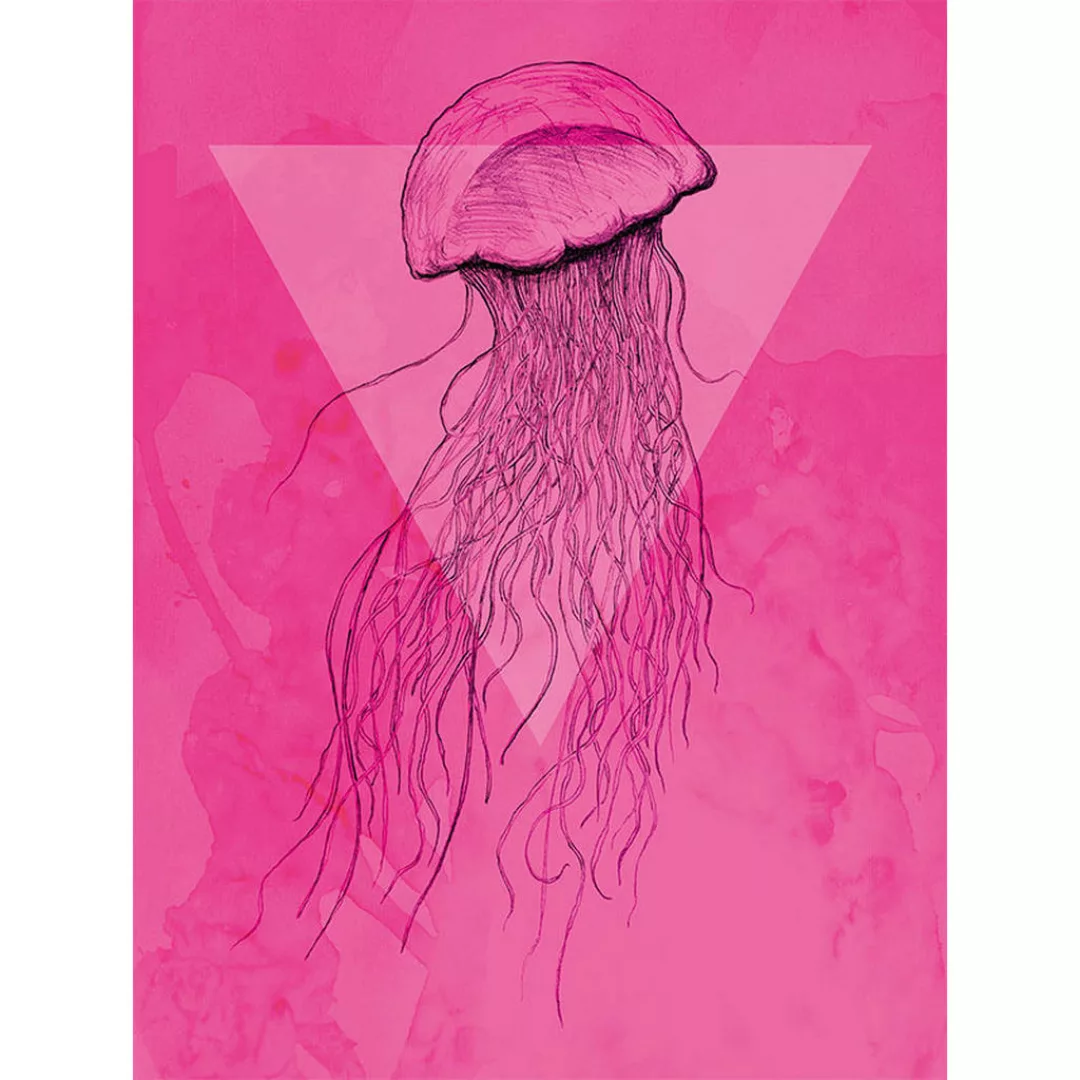 Komar Wandbild Jellyfish Pink Tiere B/L: ca. 30x40 cm günstig online kaufen