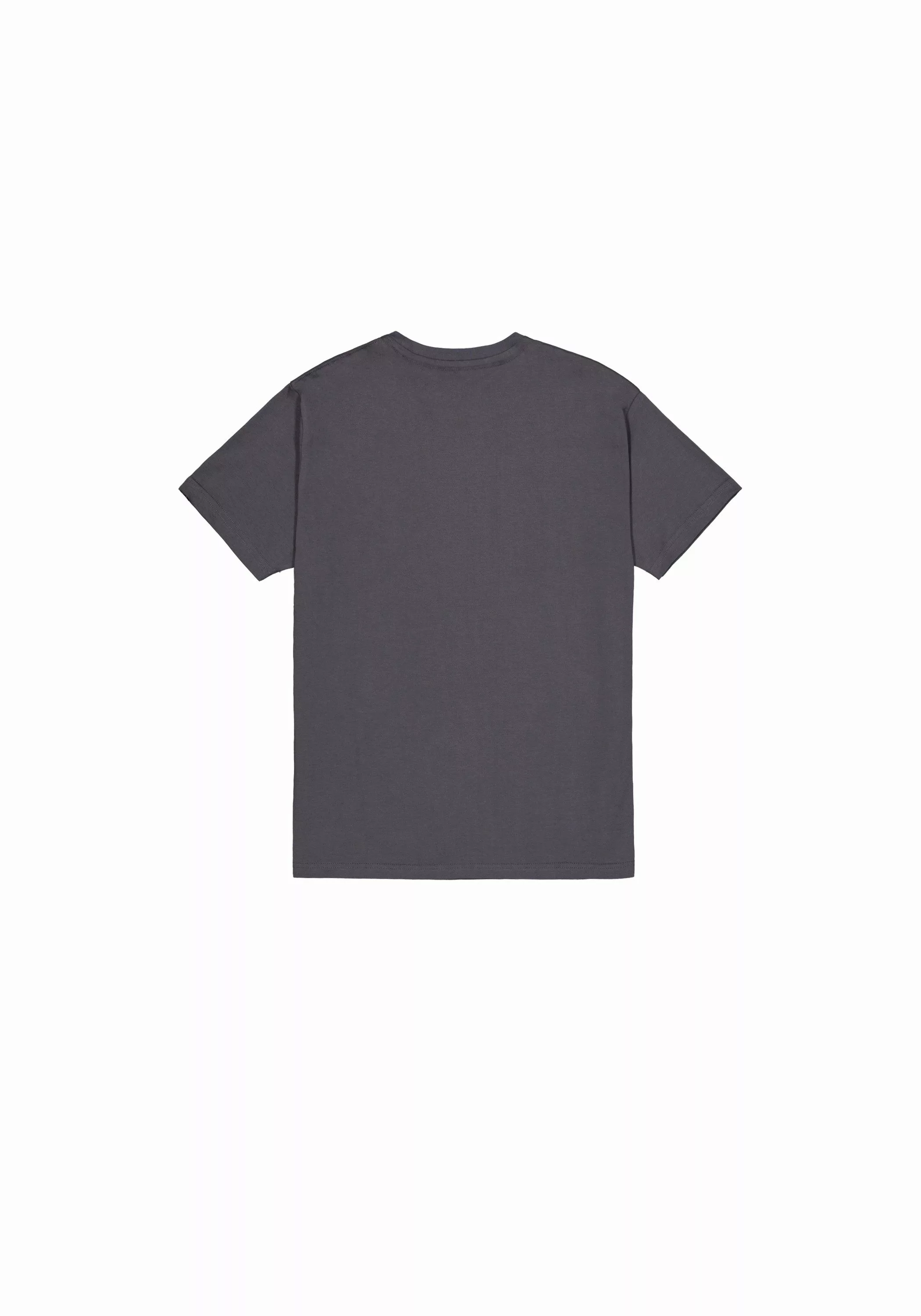 Alpha Industries T-Shirt "Alpha Puff Print T-Shirt T-Shirt" günstig online kaufen