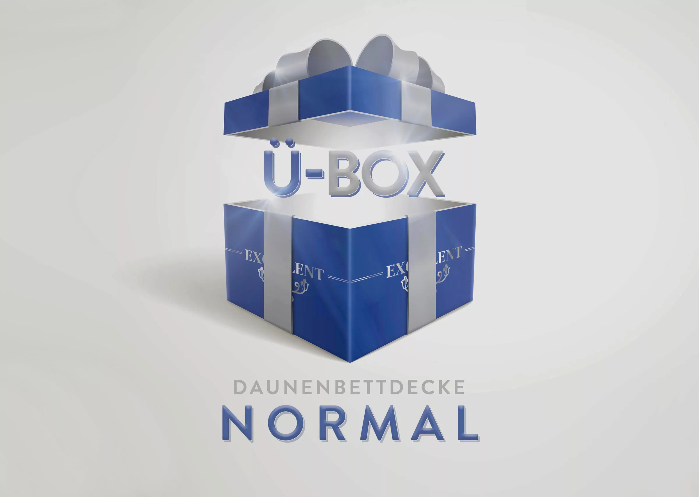 Excellent Daunenbettdecke »Überraschungsbox«, normal, Füllung 90% Daunen, 1 günstig online kaufen