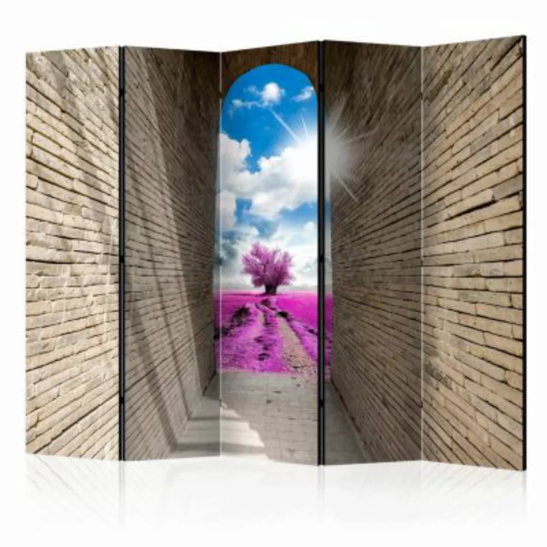 artgeist Paravent Magical Passage II [Room Dividers] mehrfarbig Gr. 225 x 1 günstig online kaufen