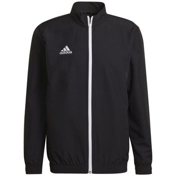 adidas  Sweatshirt Entrada 22 günstig online kaufen