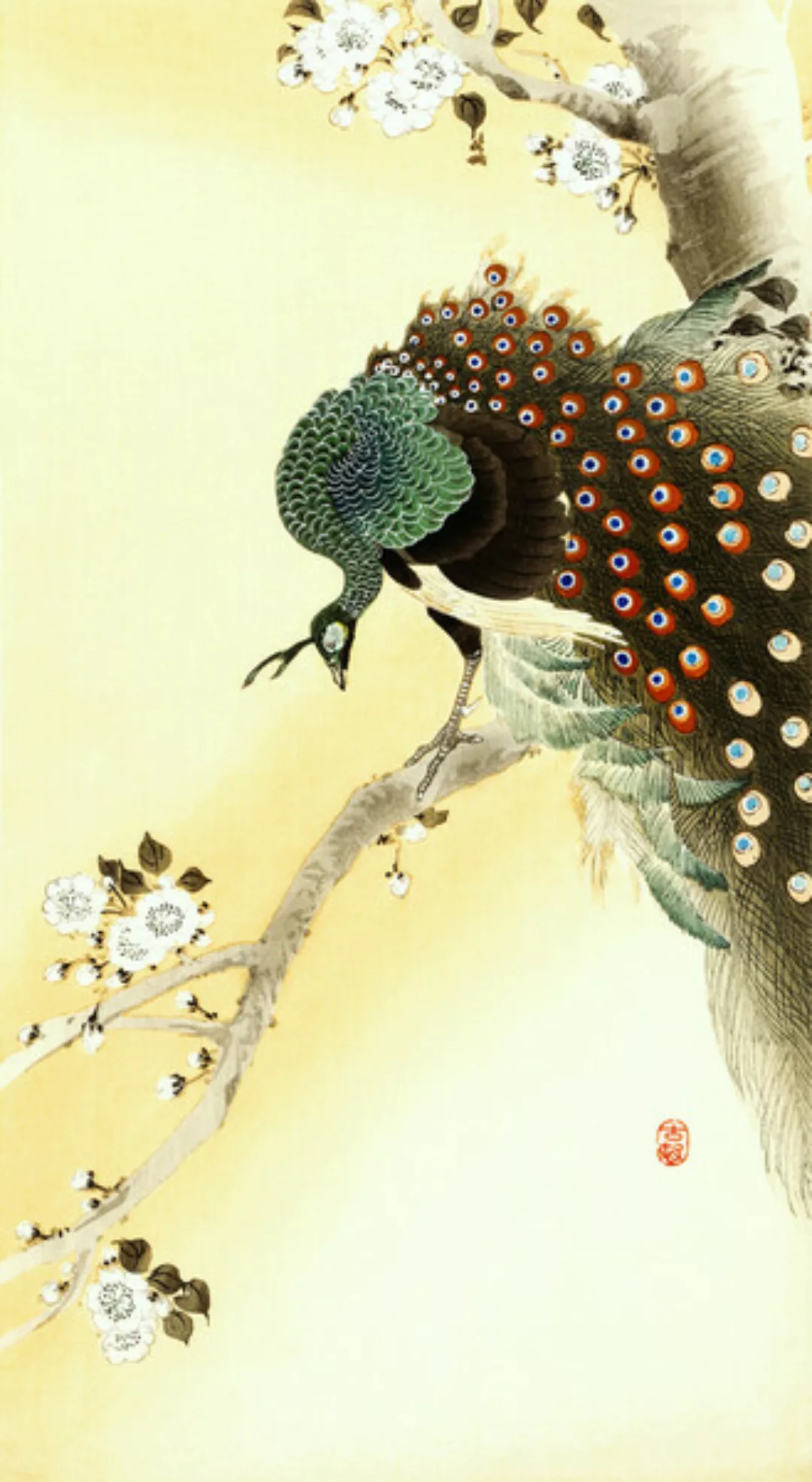Poster / Leinwandbild - Pfau Auf Einem Kirschblütenbaum Von Ohara Koson günstig online kaufen