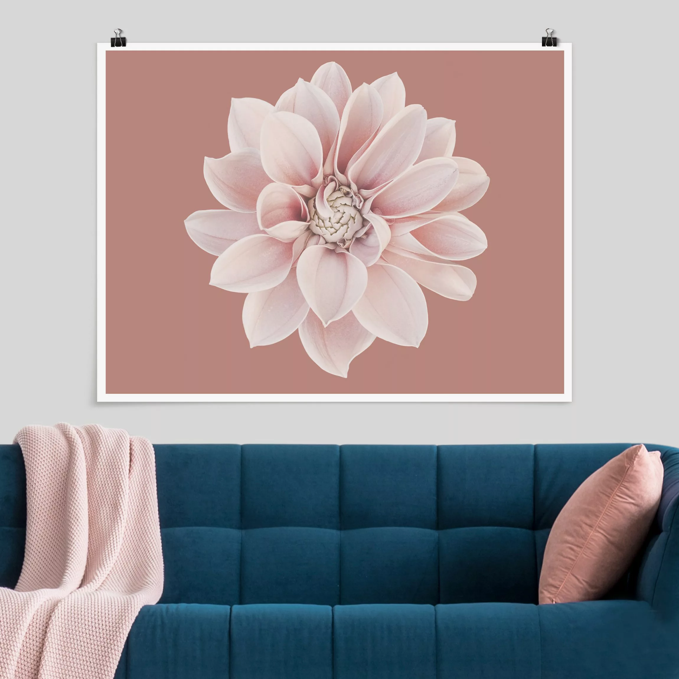 Poster Fotografie Dahlie Beigerot Rosa günstig online kaufen