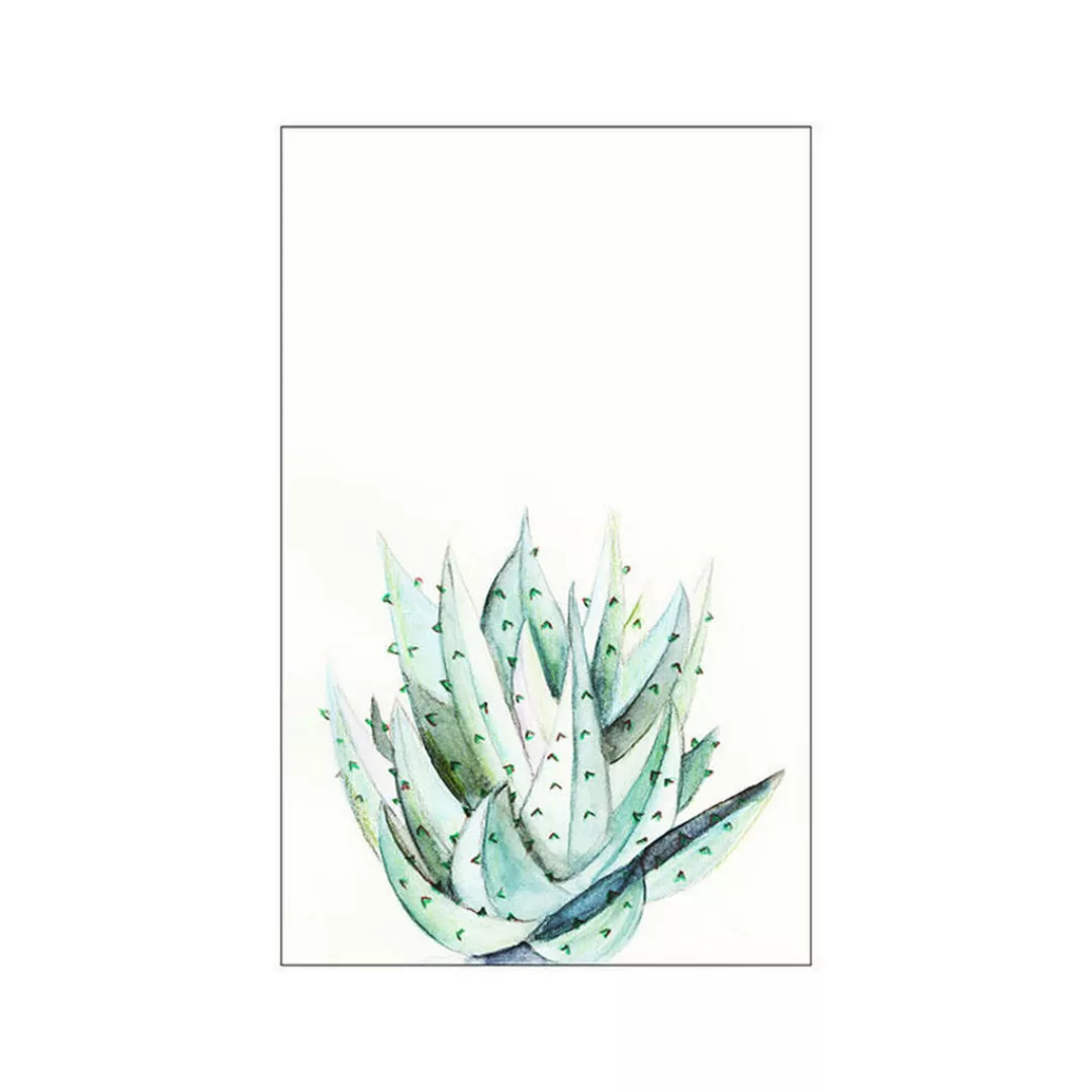 Komar Wandbild Aloe Watercolor Pflanzen B/L: ca. 50x70 cm günstig online kaufen