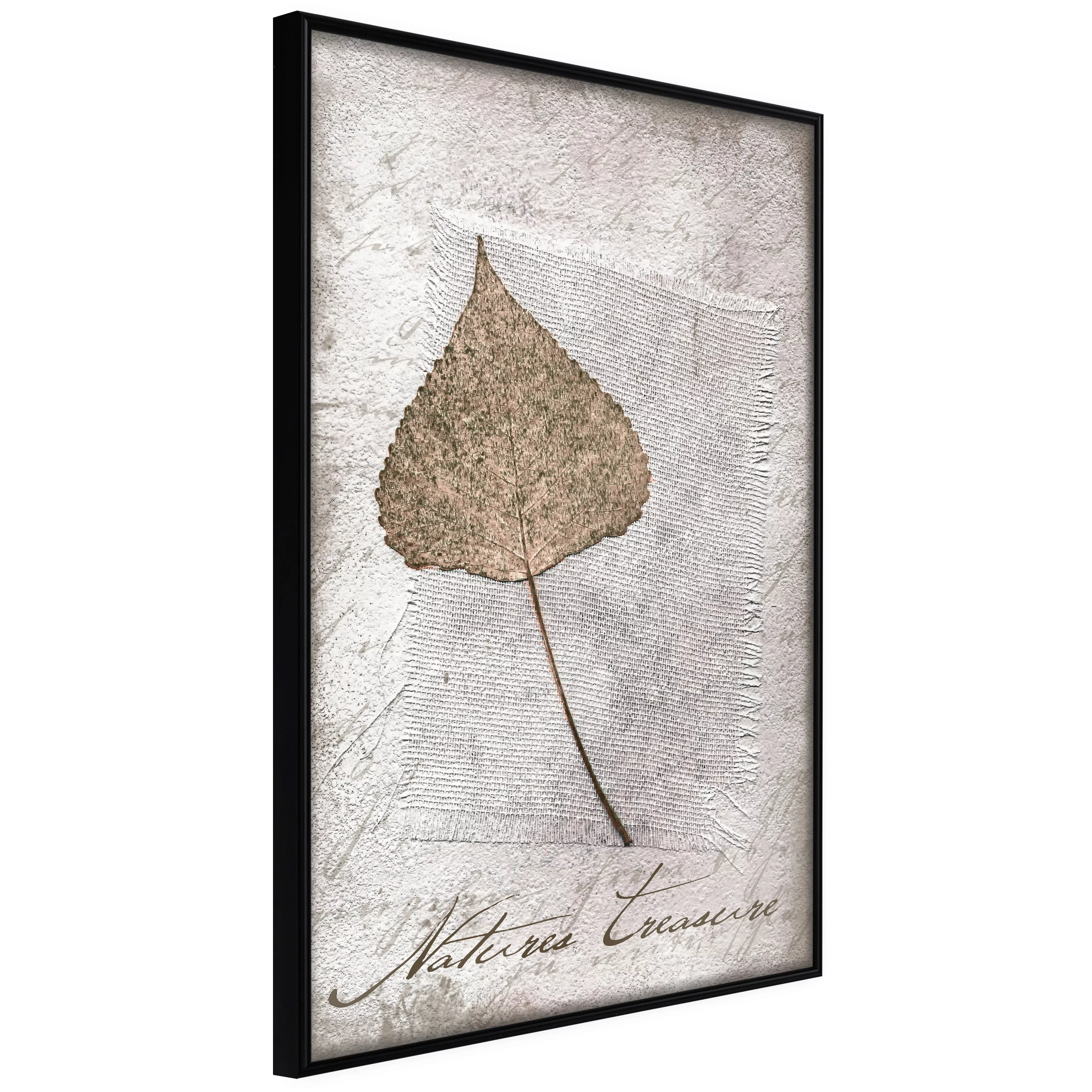 Poster - Dried Leaf günstig online kaufen