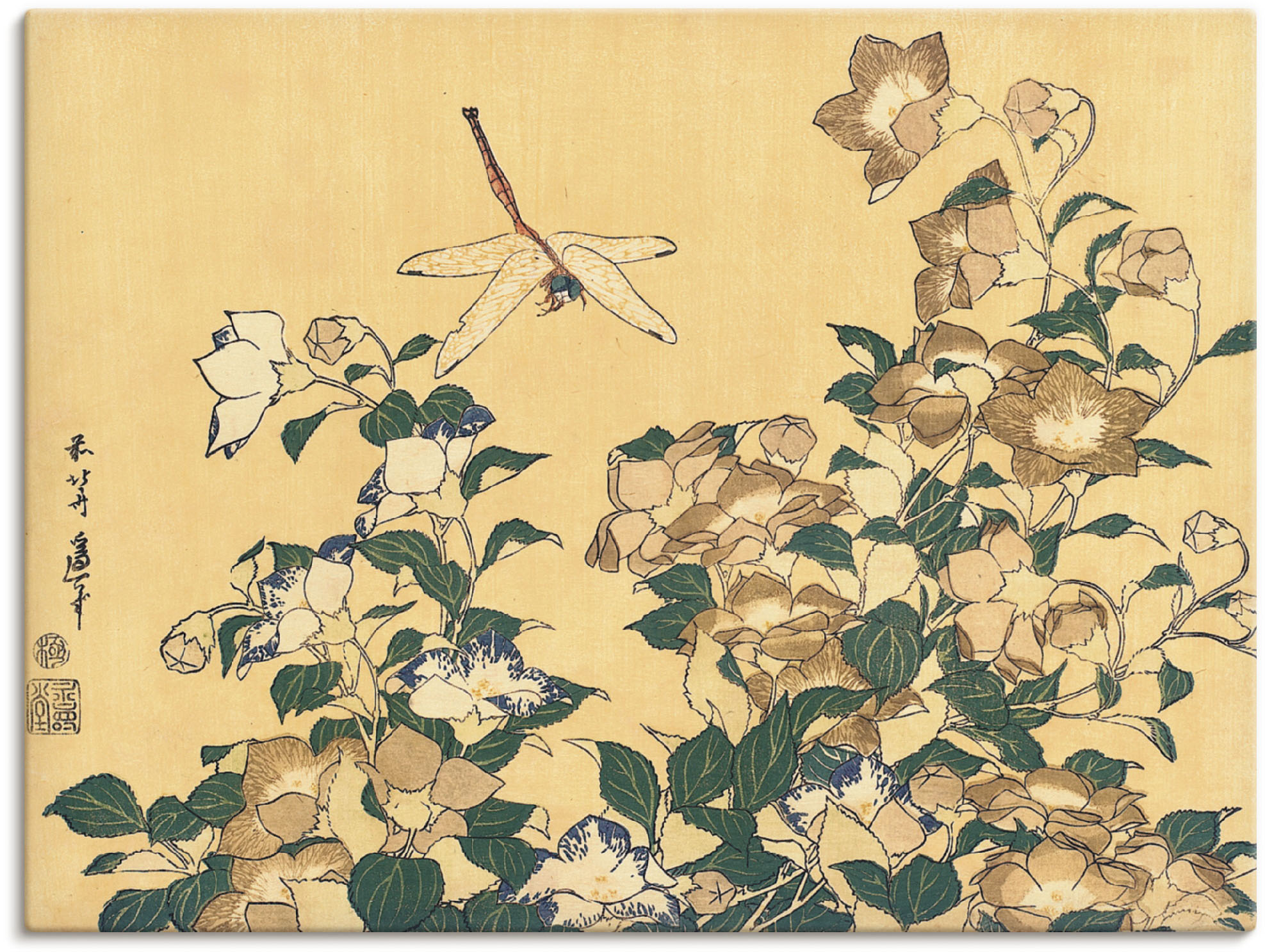 Artland Wandbild »Chinesische Glockenblume und Libelle«, Blumen, (1 St.), a günstig online kaufen