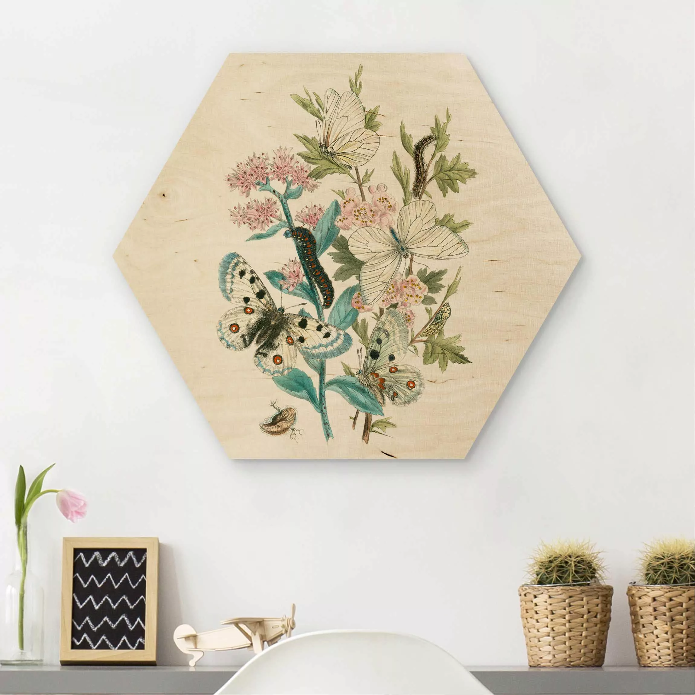 Hexagon-Holzbild Blumen Britische Schmetterlinge I günstig online kaufen
