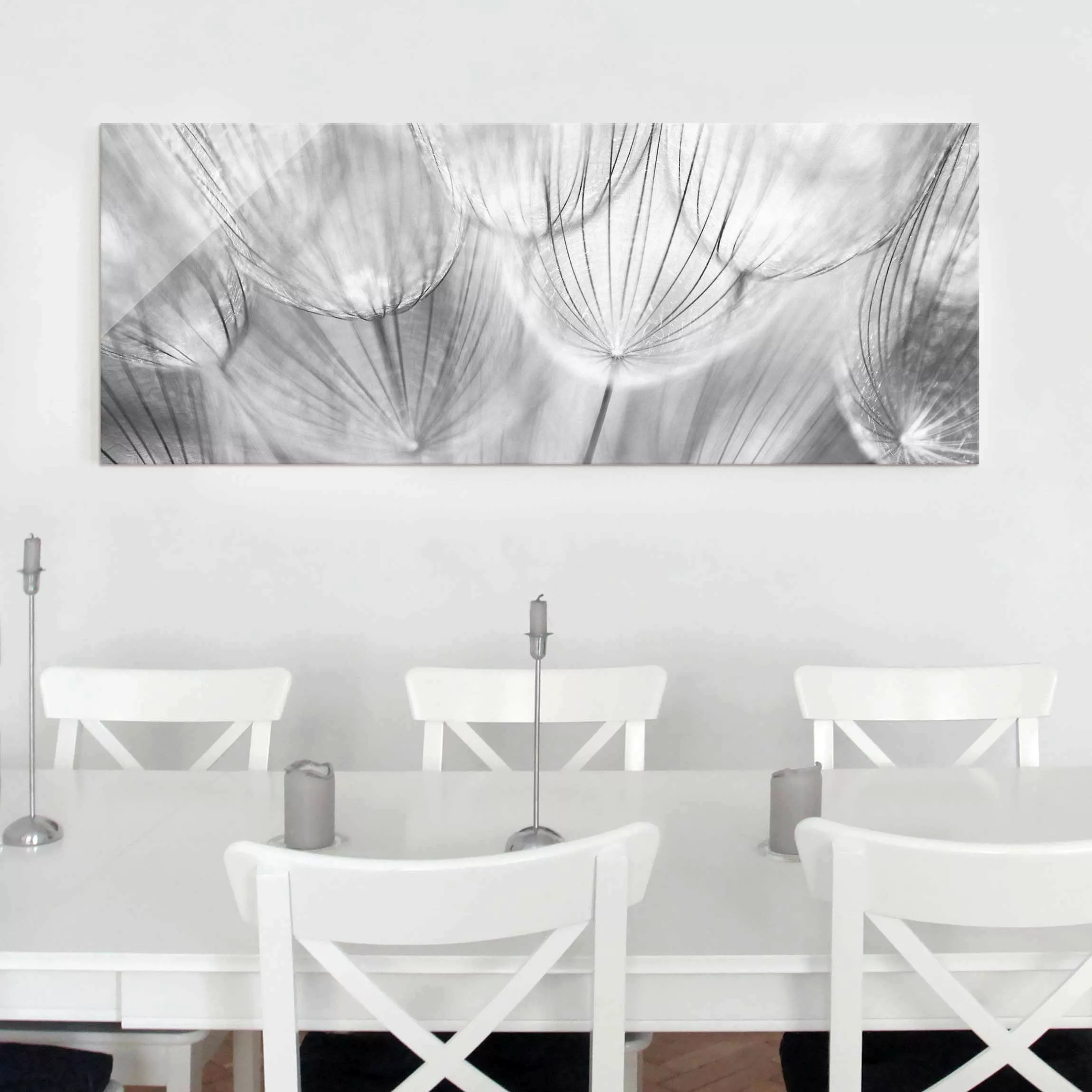 Glasbild Blumen - Panorama Pusteblumen Makroaufnahme in schwarz weiss günstig online kaufen