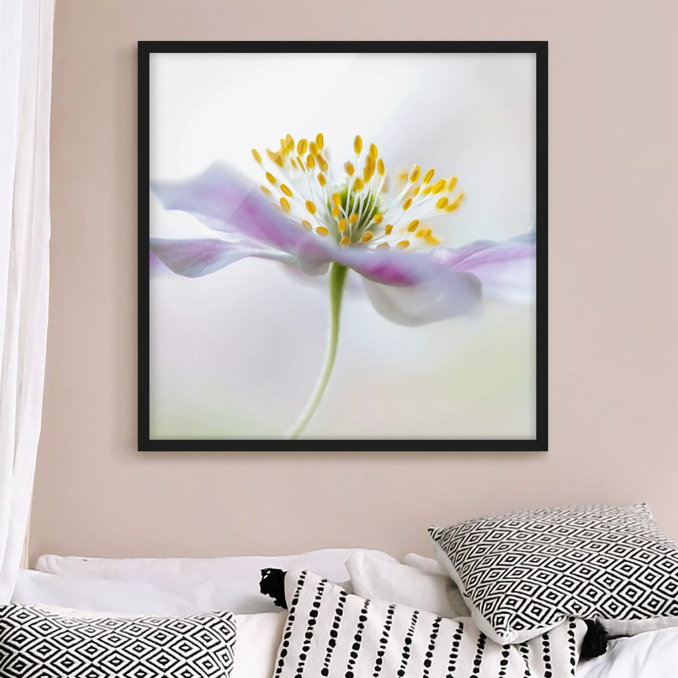 Bild mit Rahmen Blumen - Quadrat Buschwindröschen in Weiß günstig online kaufen