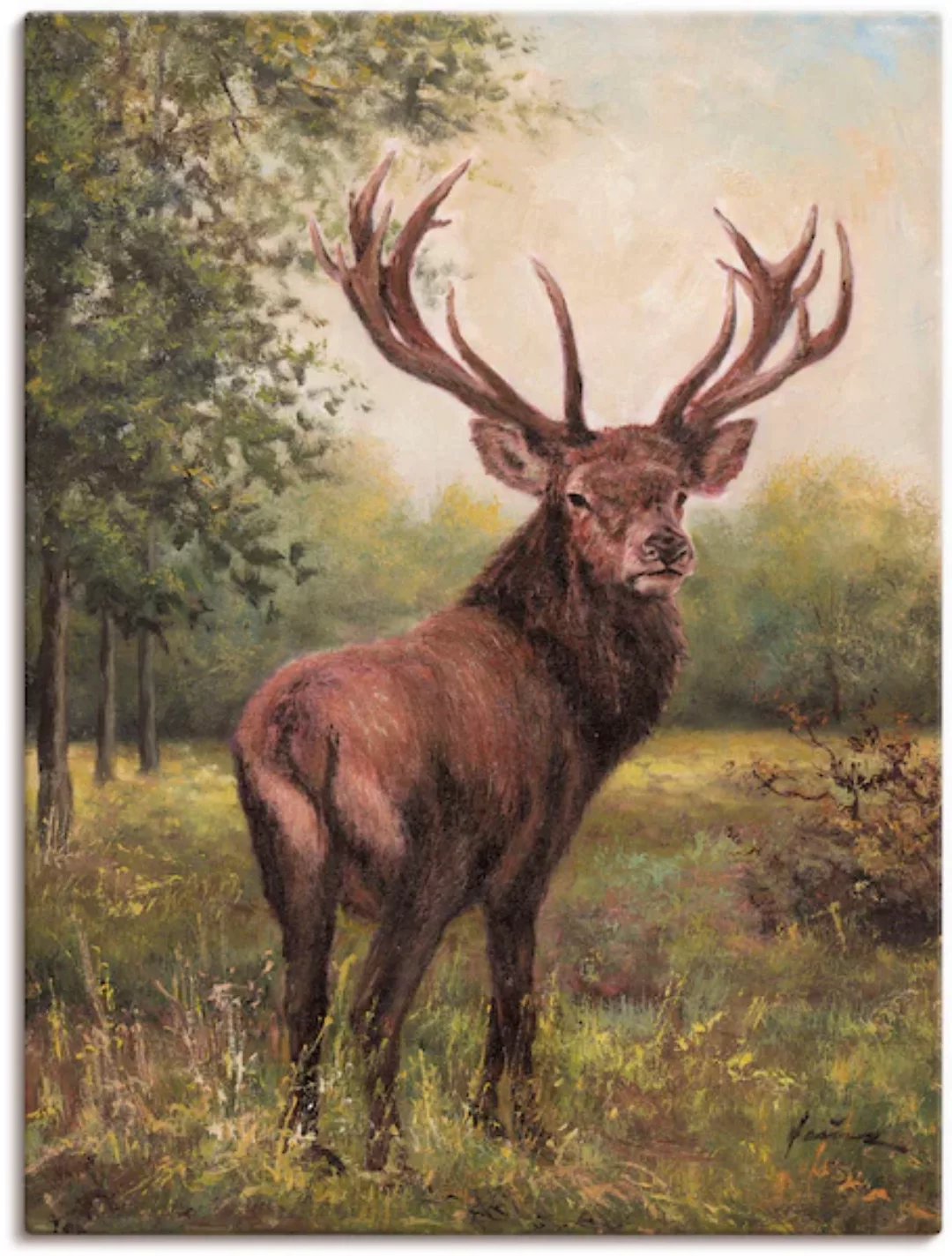 Artland Wandbild »Hirsch«, Wildtiere, (1 St.), als Leinwandbild, Poster, Wa günstig online kaufen