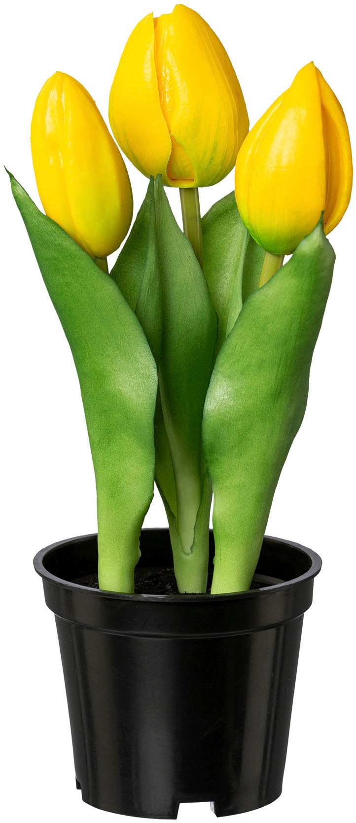 Creativ green Kunstblume "Tulpe", mit real-touch-Blüten günstig online kaufen