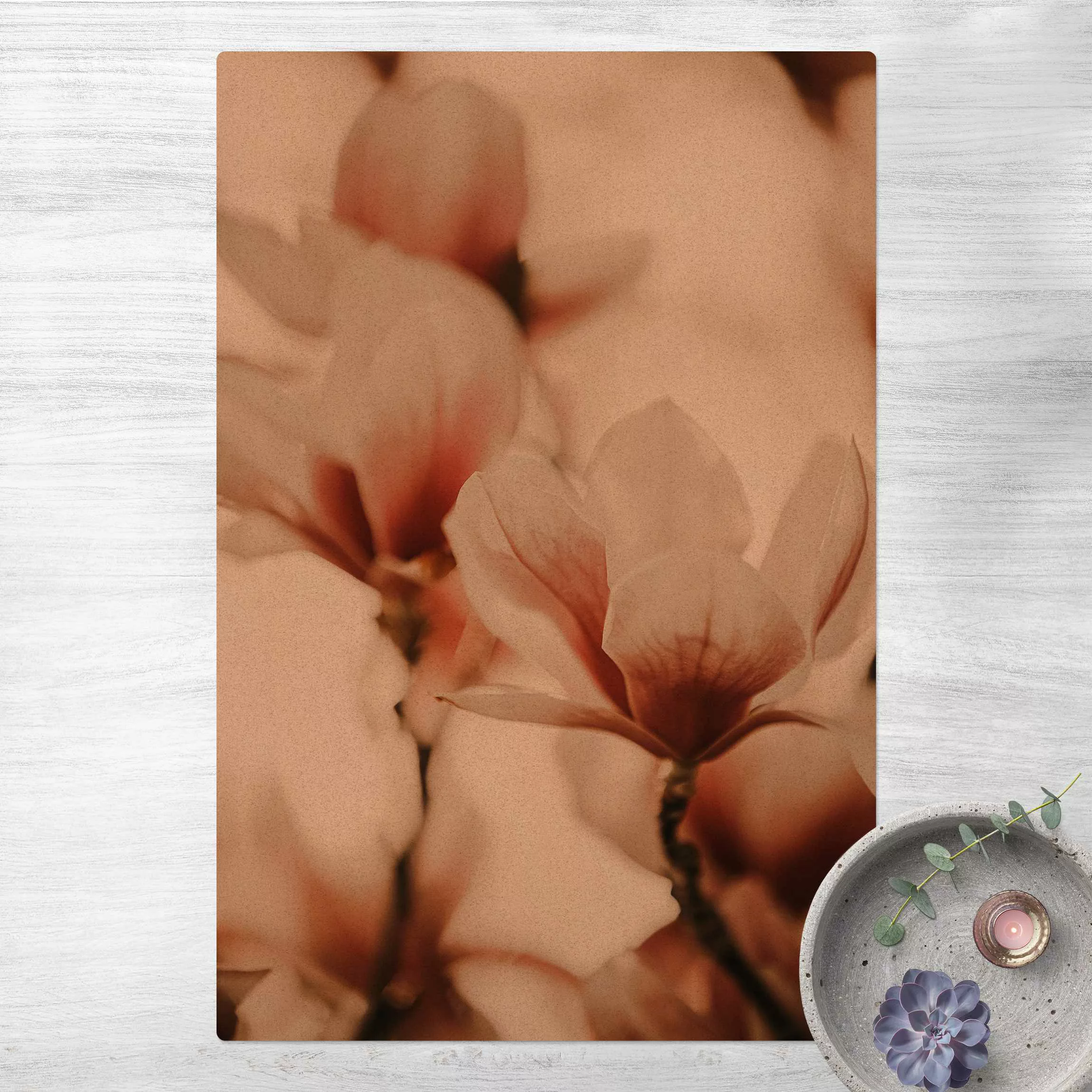 Kork-Teppich Zarte Magnolienblüten im Lichtspiel günstig online kaufen