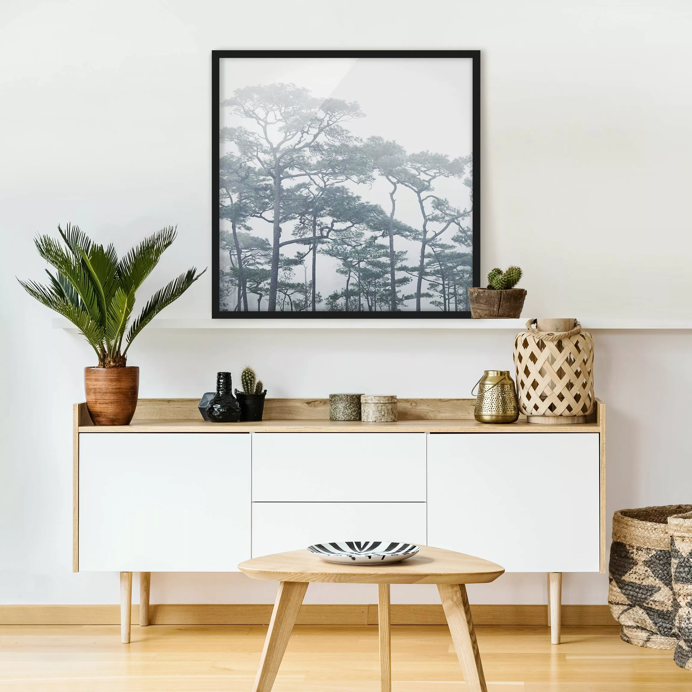 Bild mit Rahmen Natur & Landschaft - Quadrat Baumkronen im Nebel günstig online kaufen