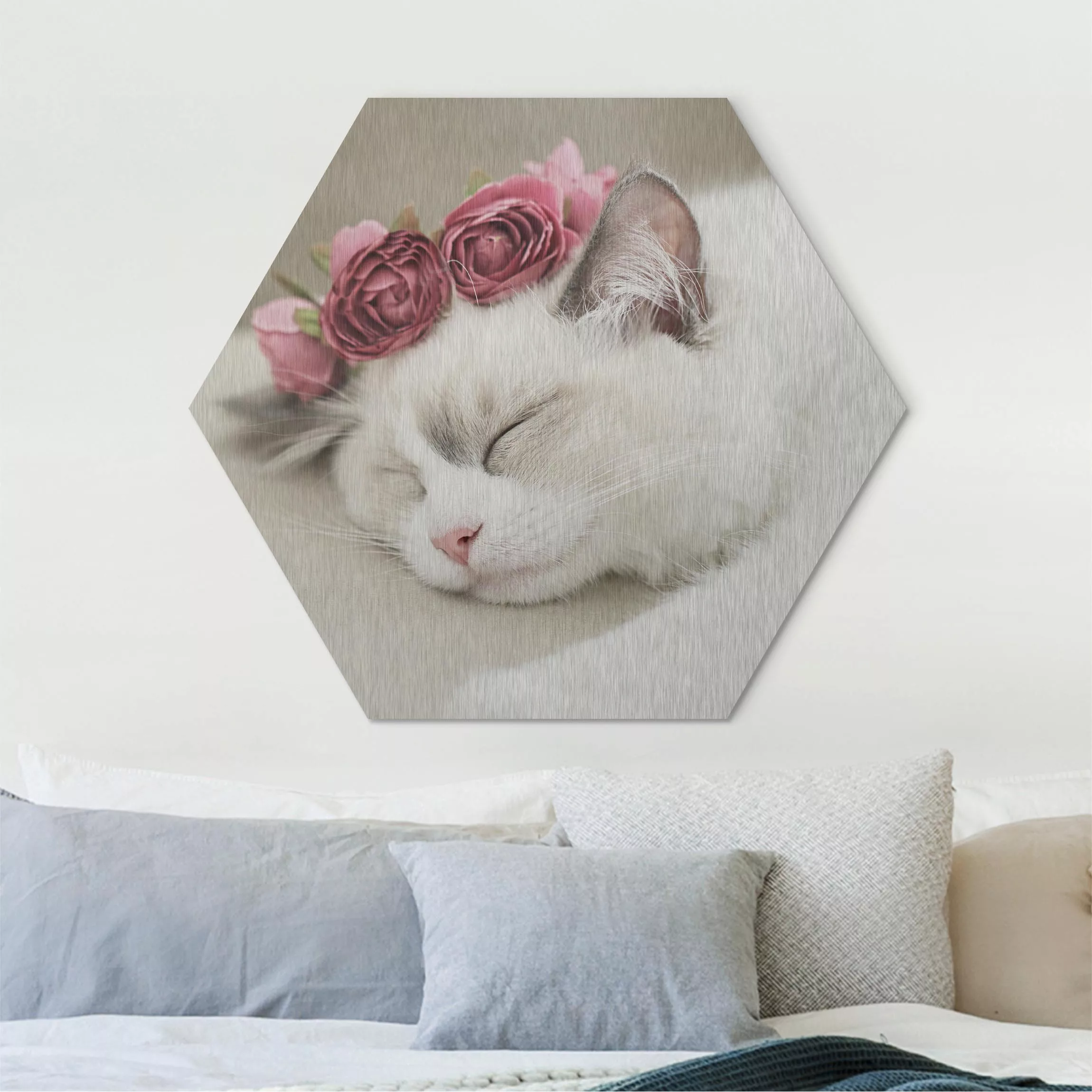 Hexagon-Alu-Dibond Bild Schlafende Katze mit Rosen günstig online kaufen
