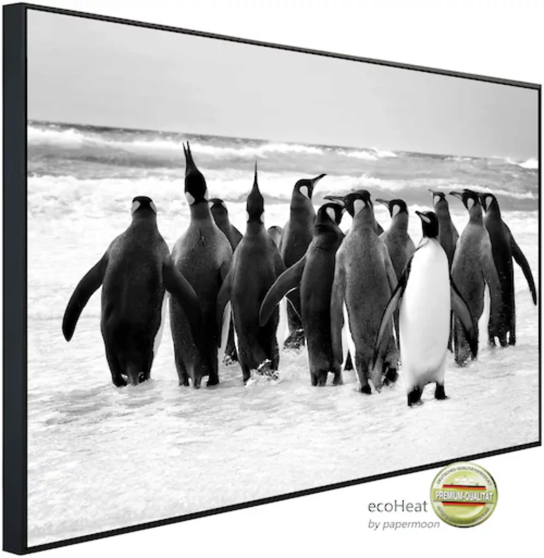 Papermoon Infrarotheizung »Pinguin Schwarz & Weiß« günstig online kaufen