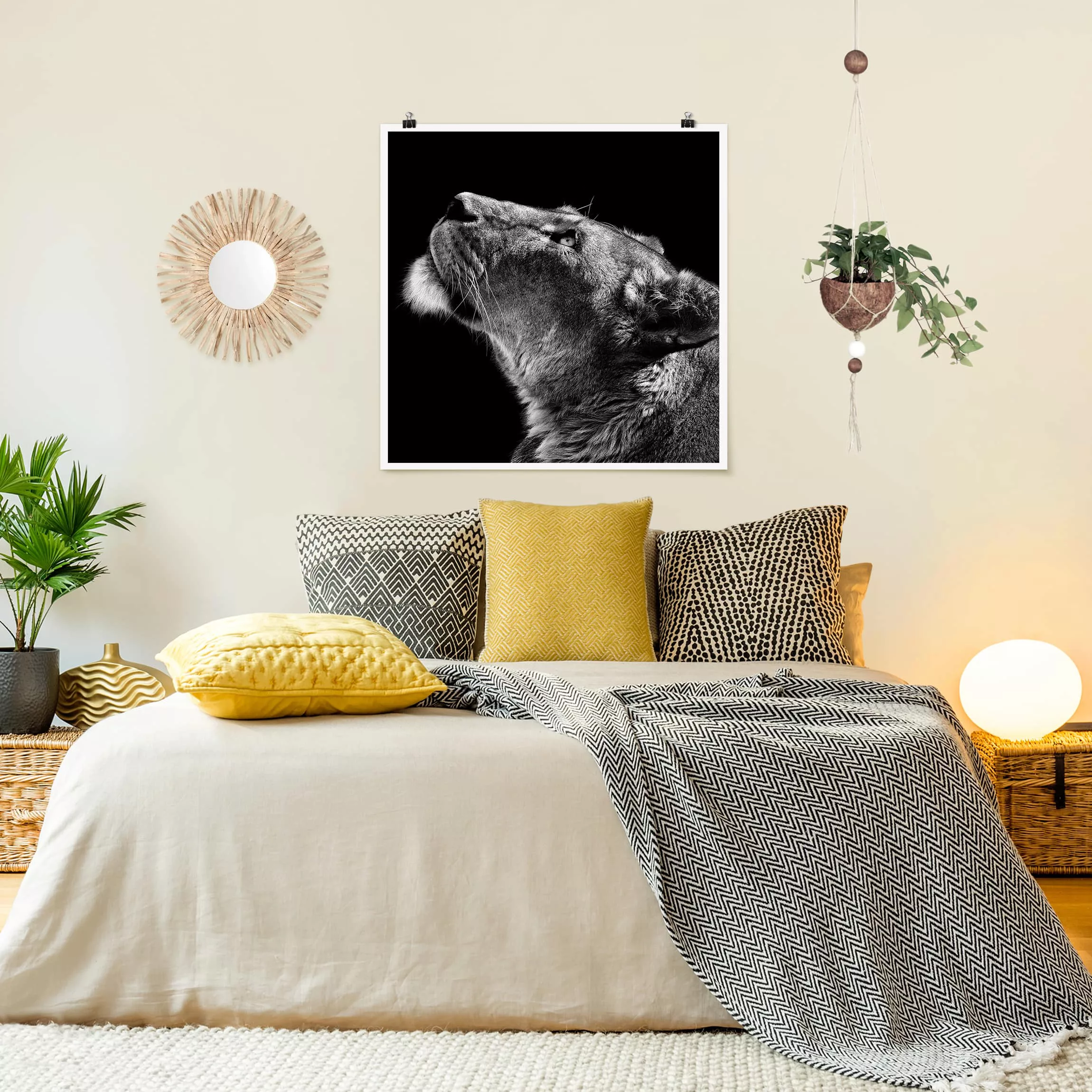 Poster Tiere - Quadrat Portrait einer Löwin günstig online kaufen