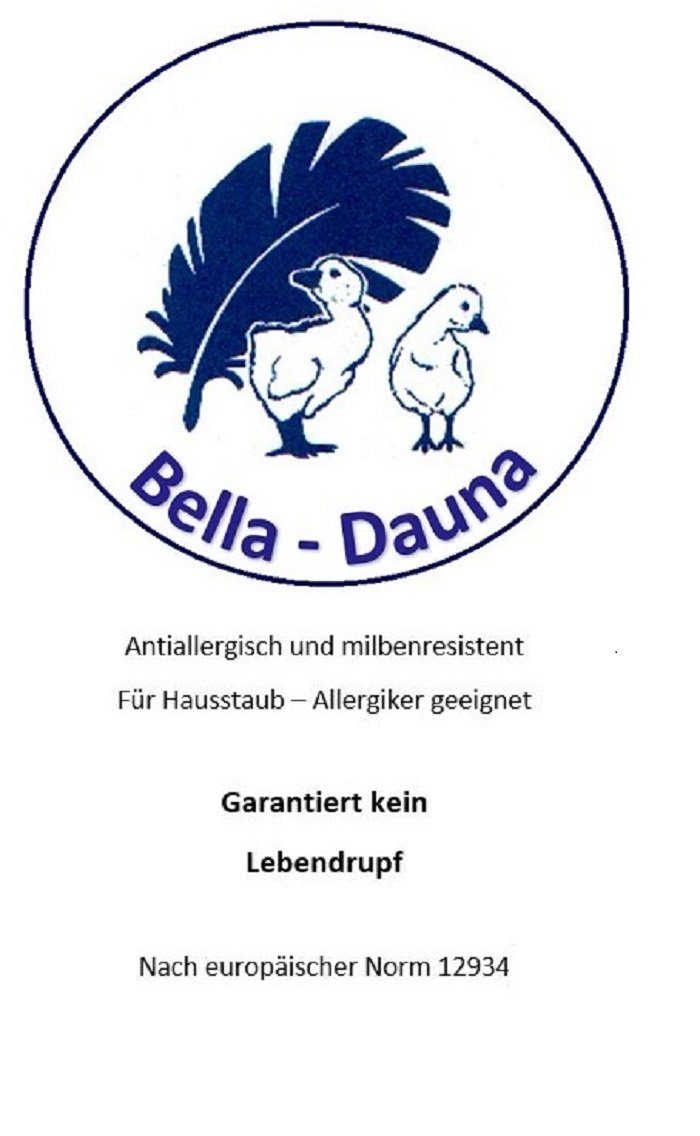Betten Hofmann 4-Jahreszeitenbett Betten Hofmann Premium günstig online kaufen