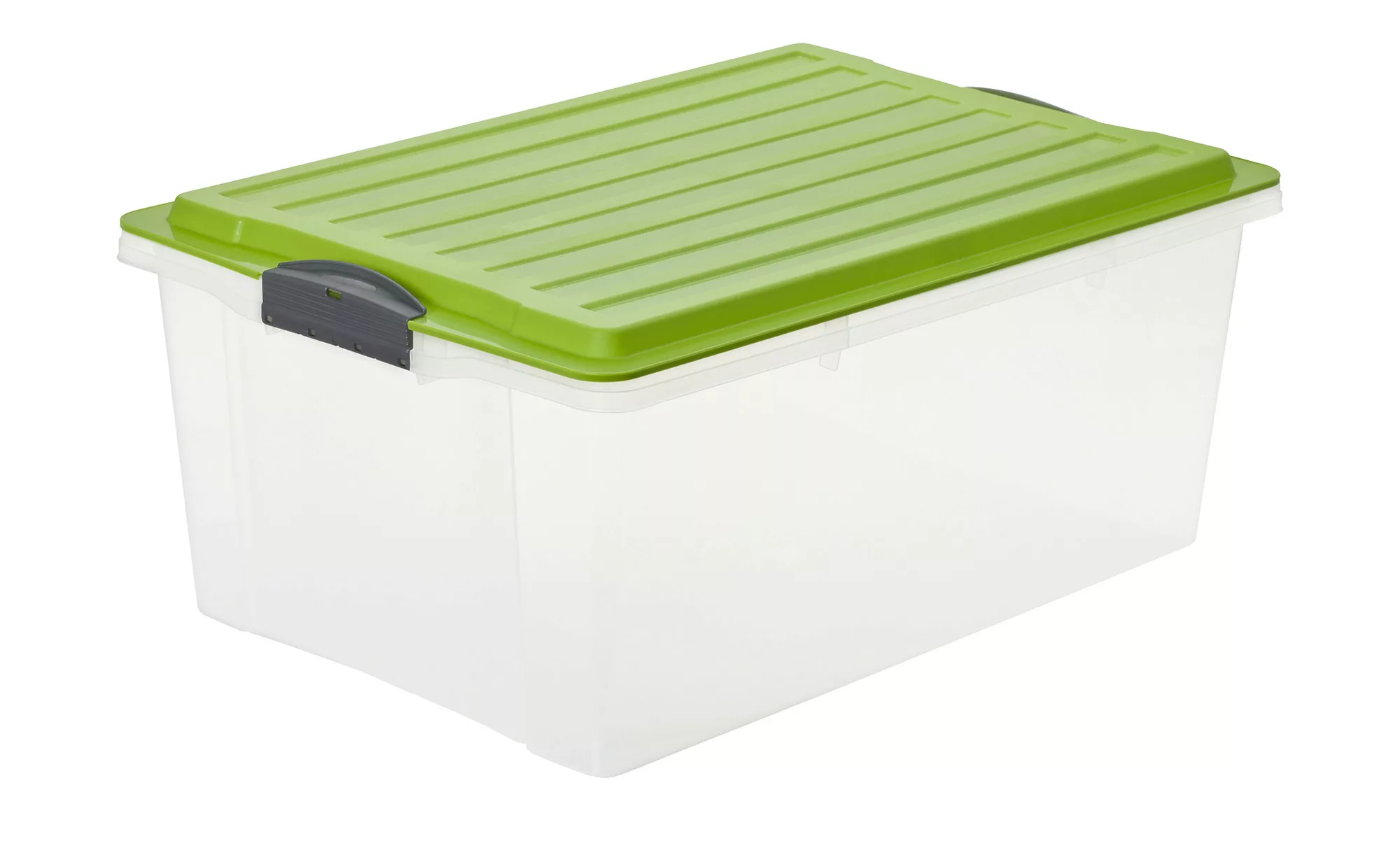 Rotho Aufbewahrungsbox mit Deckel - grün - Kunststoff - 40 cm - 25 cm - Sco günstig online kaufen