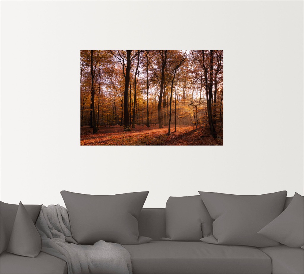 Artland Wandbild »Sonnenaufgang im Herbst II«, Wald, (1 St.), als Alubild, günstig online kaufen