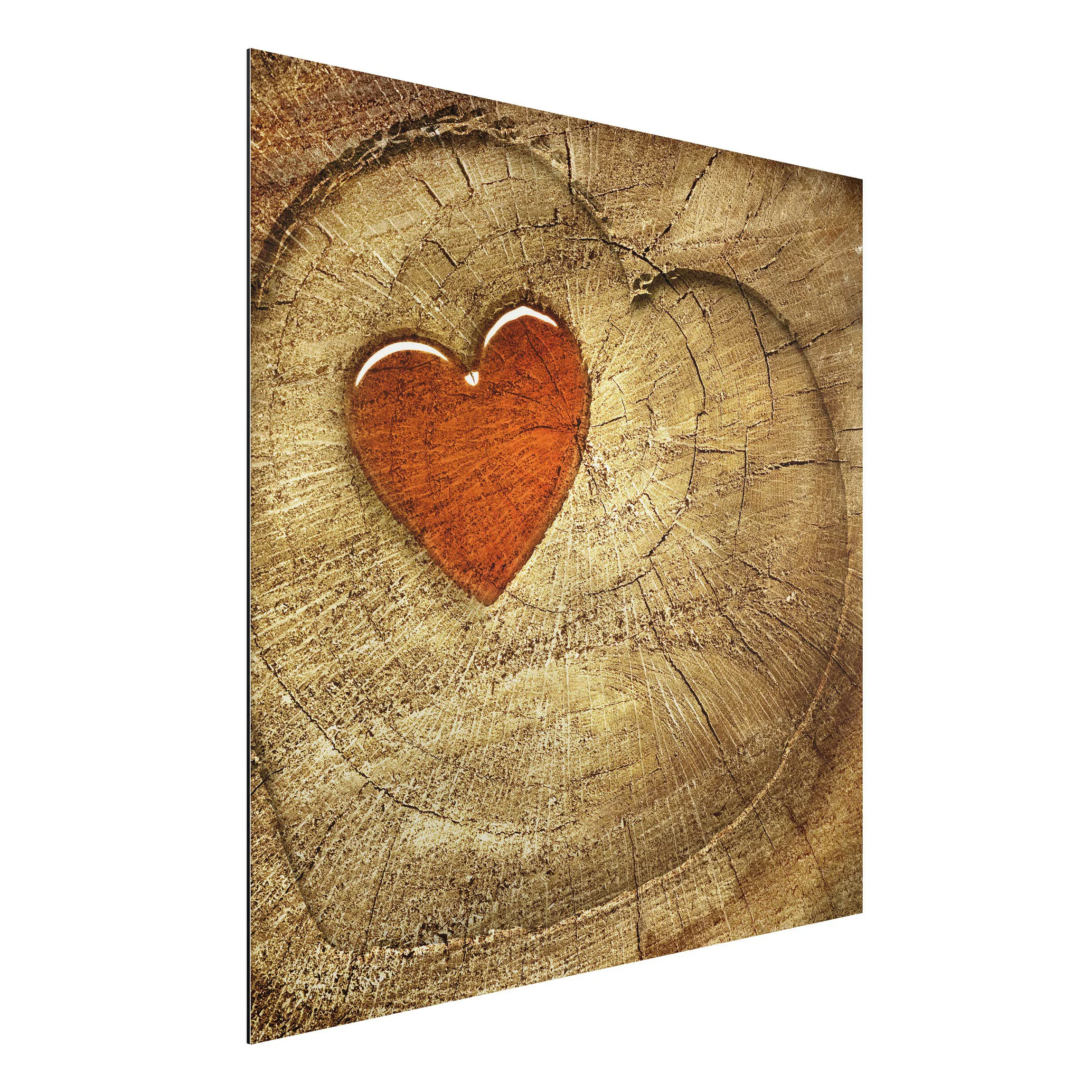 Alu-Dibond Bild - Quadrat Natural Love Panorama günstig online kaufen