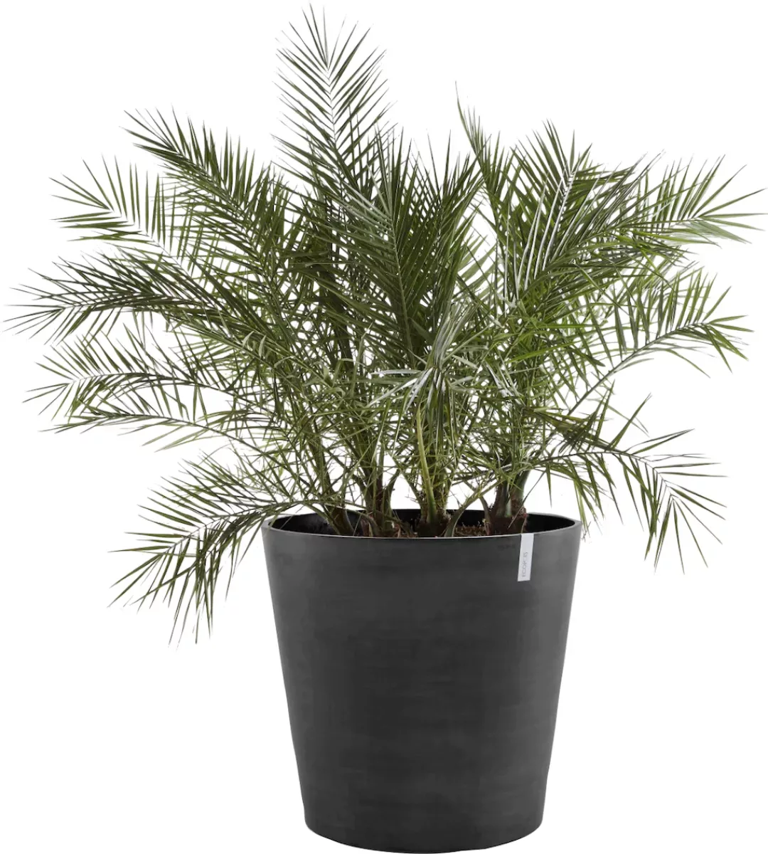 Ecopots Pflanztopf Amsterdam Rollen Dunkelgrau 60 cm x 56 cm günstig online kaufen