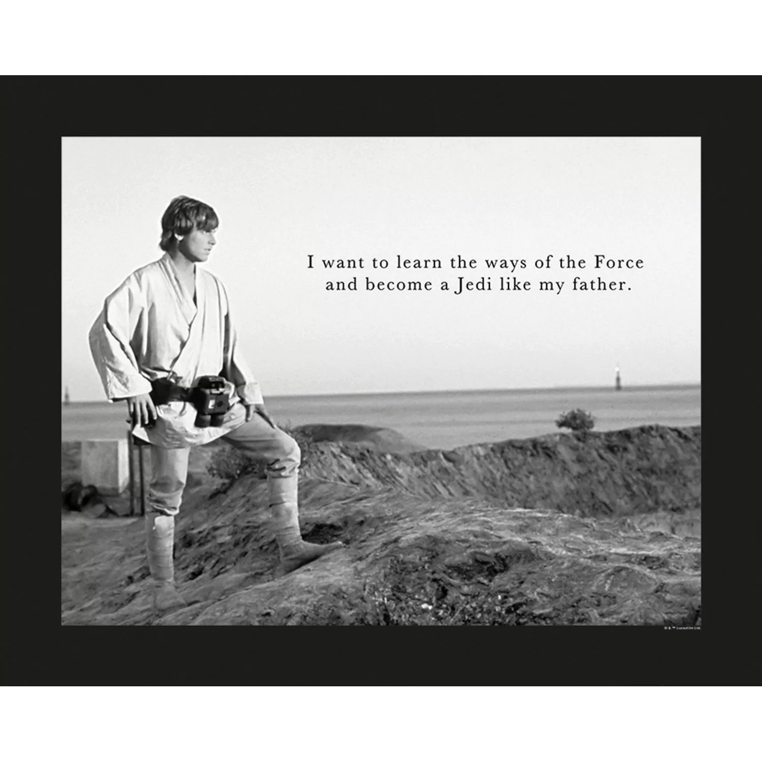 Komar Wandbild Star Wars Quote 50 x 40 cm günstig online kaufen