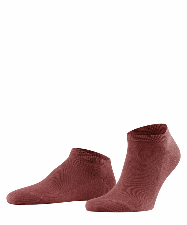 FALKE Family Herren Sneakersocken, 43-46, Rot, Uni, Baumwolle, 14612-821403 günstig online kaufen