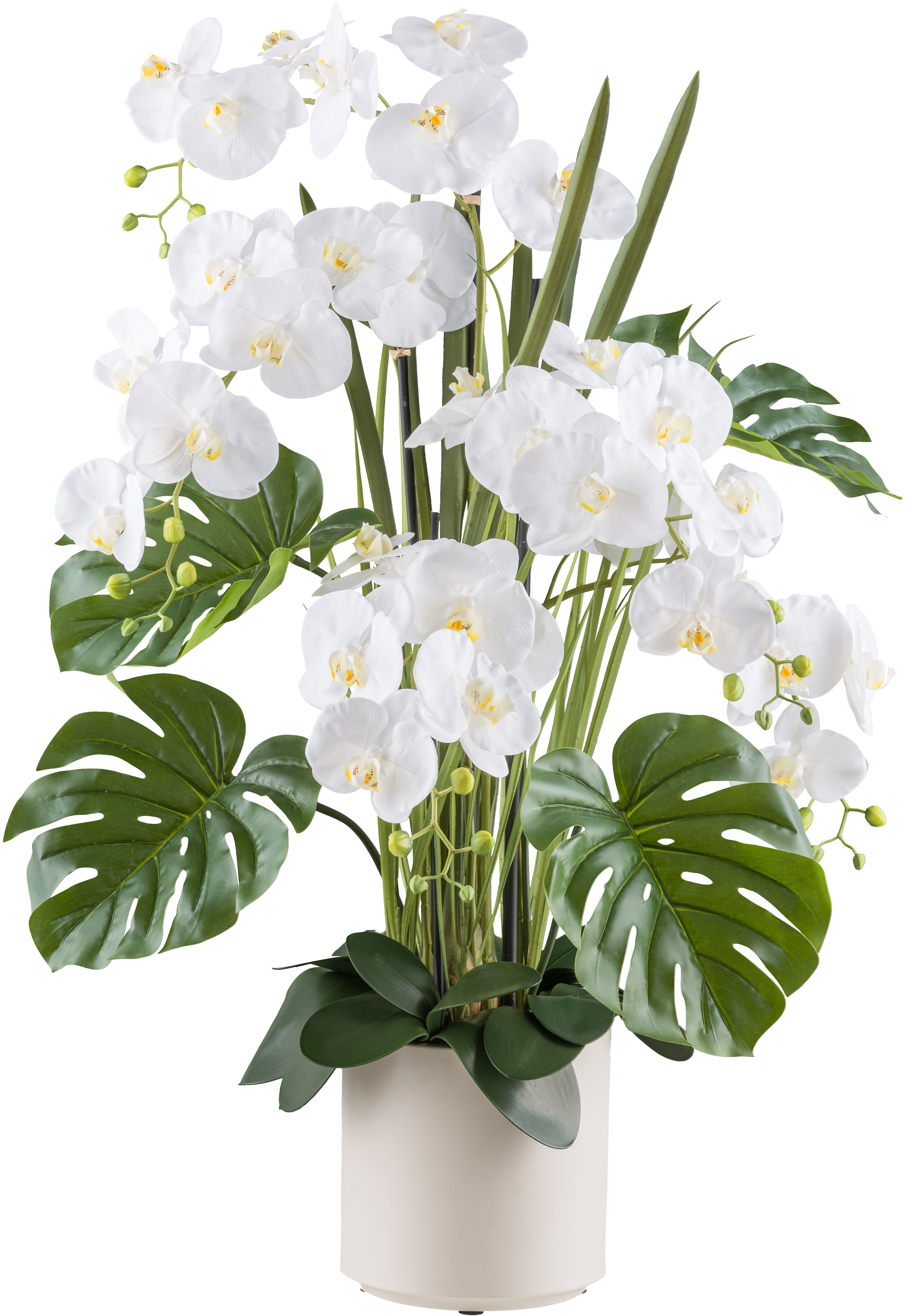 Creativ green Kunstorchidee "Orchidee Phalaenopsis", mit Gräsern und Splitp günstig online kaufen